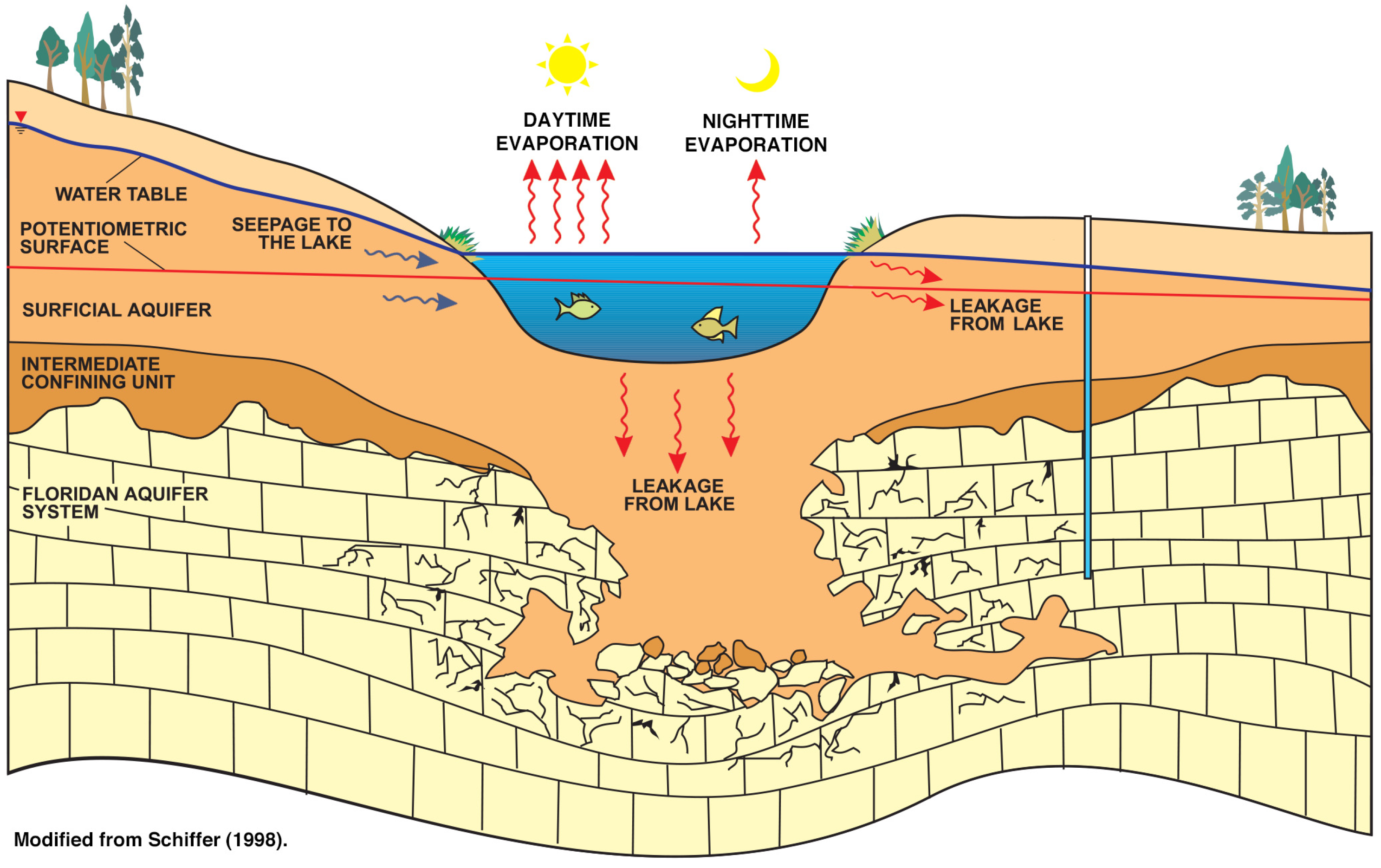 Limnolrev 25 00043 g002