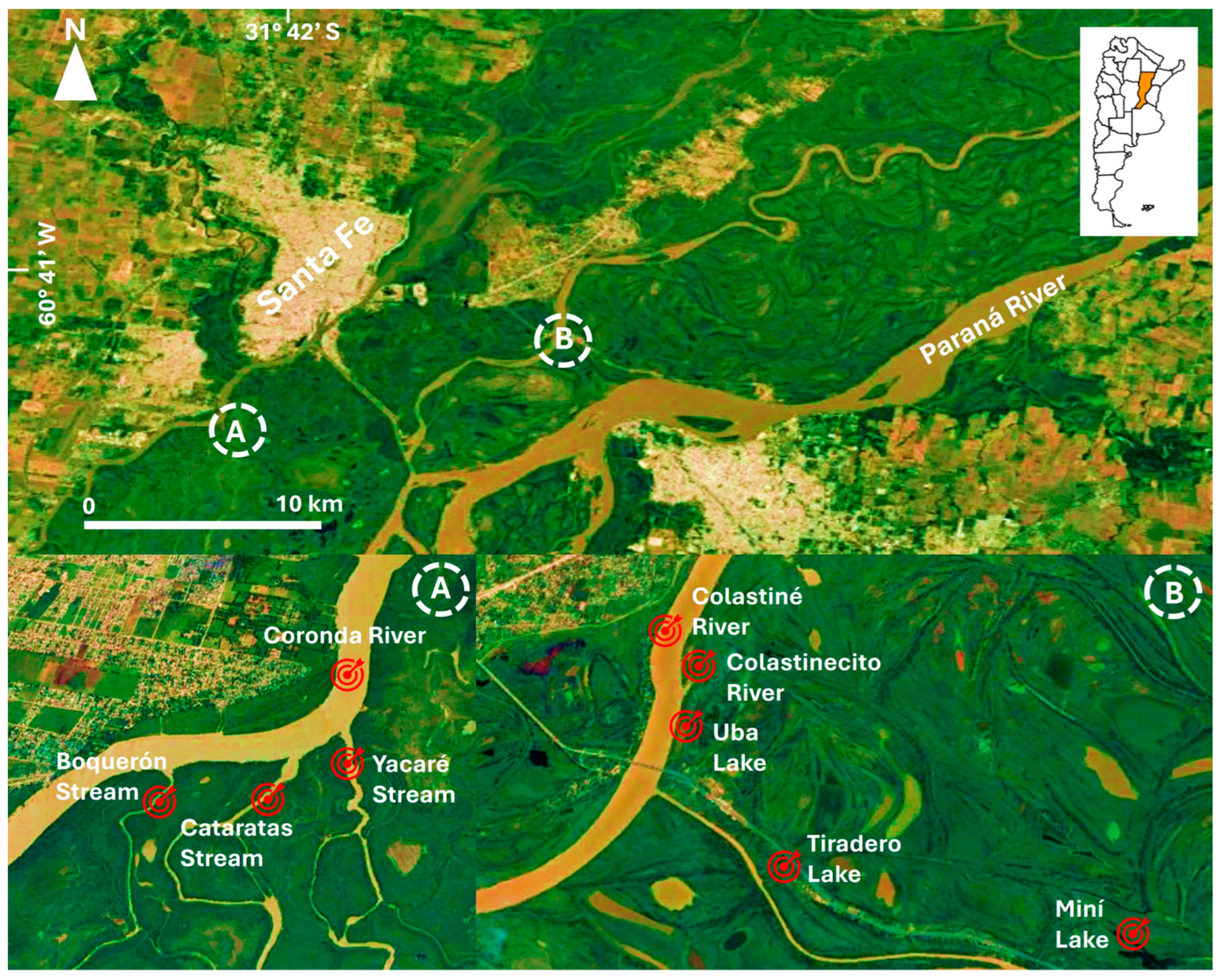 Limnolrev 25 00045 g001 Limnolrev 25 00045 g001