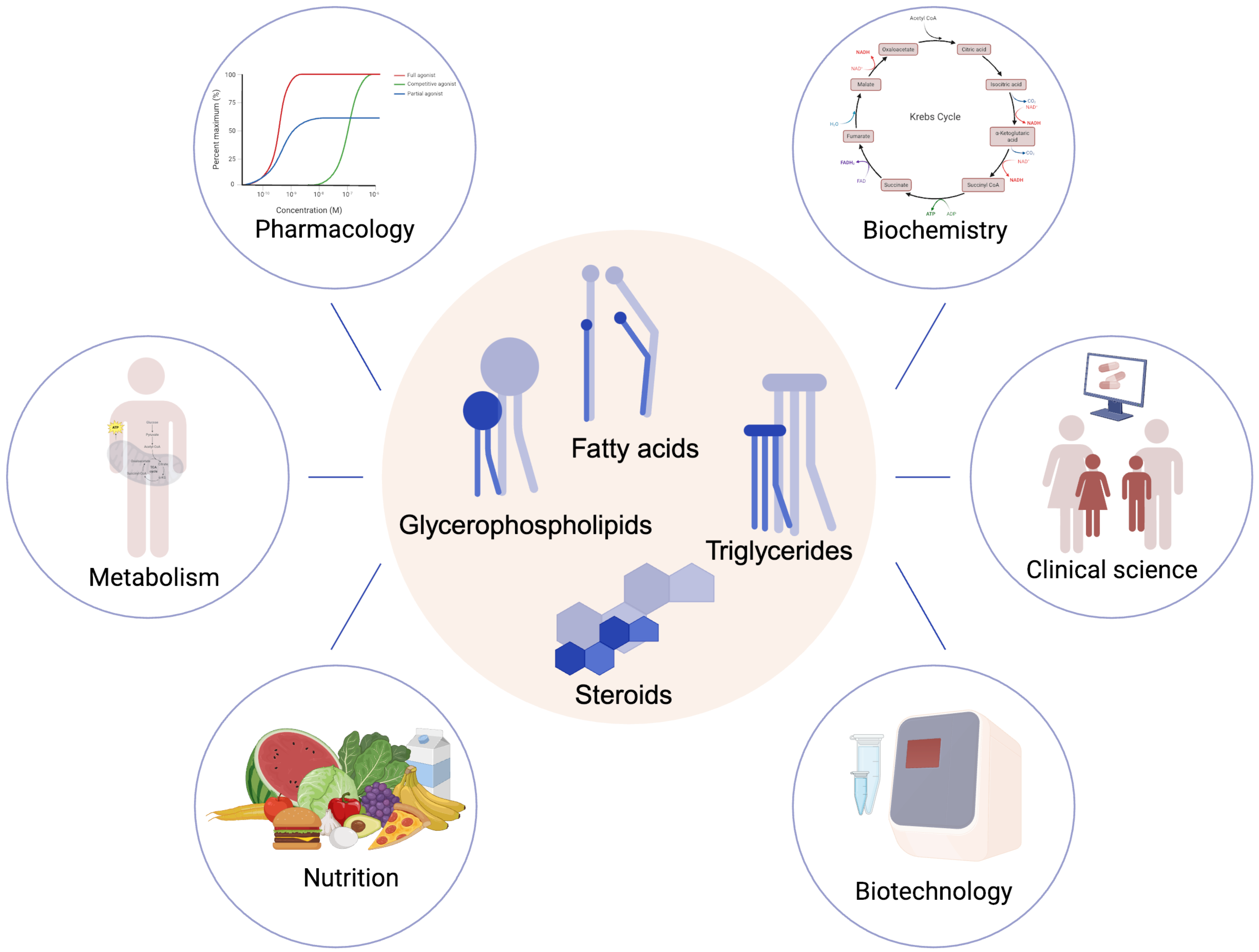 Lipidology 01 00001 g001