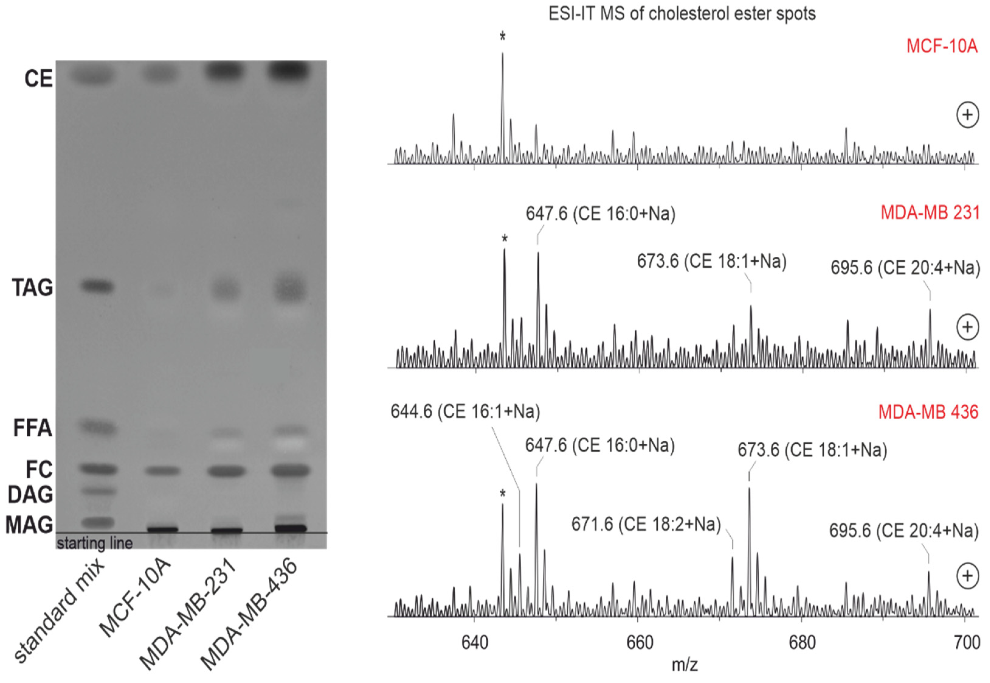 Lipidology 01 00005 g008