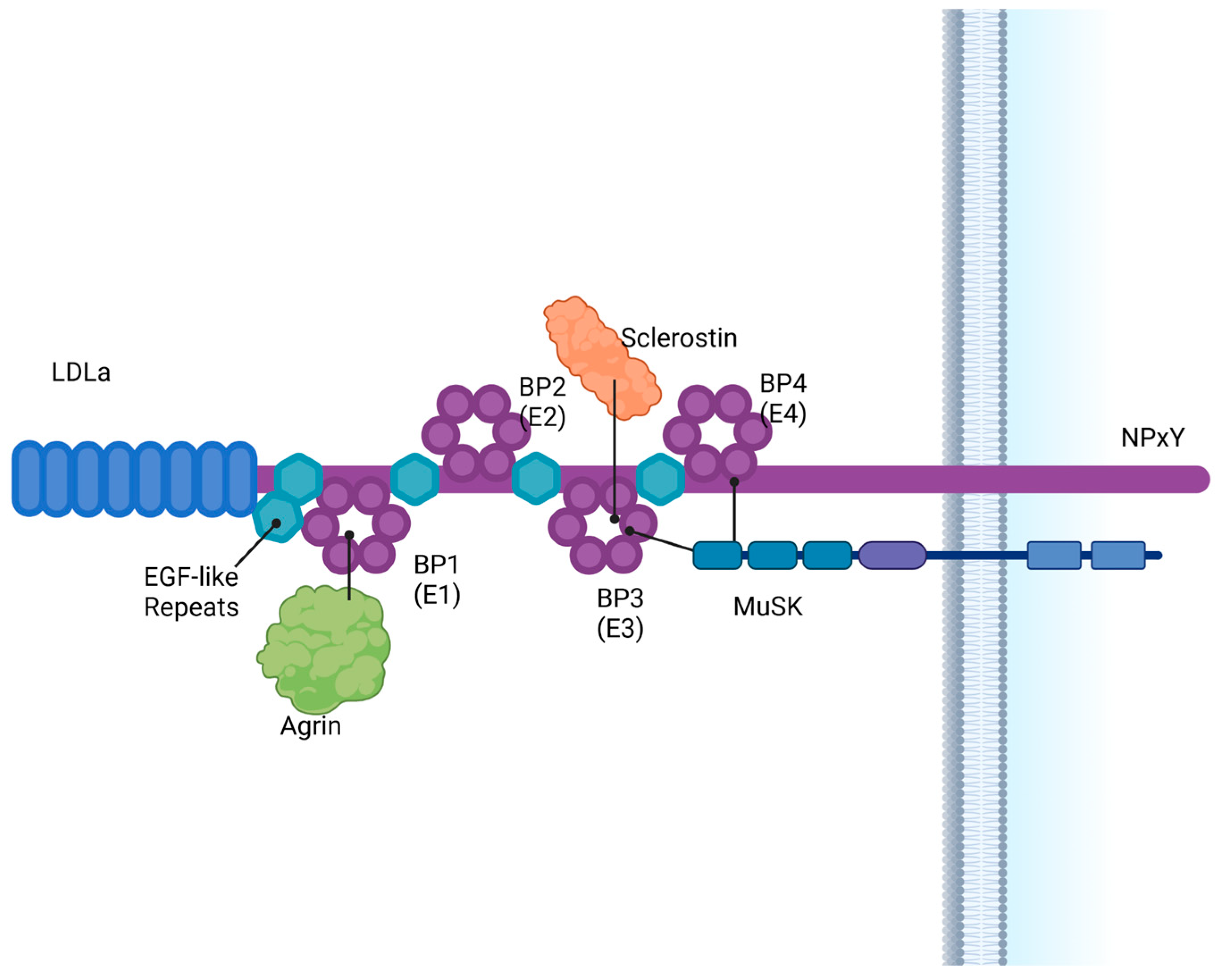 Lipidology 02 00003 g001 Lipidology 02 00003 g001