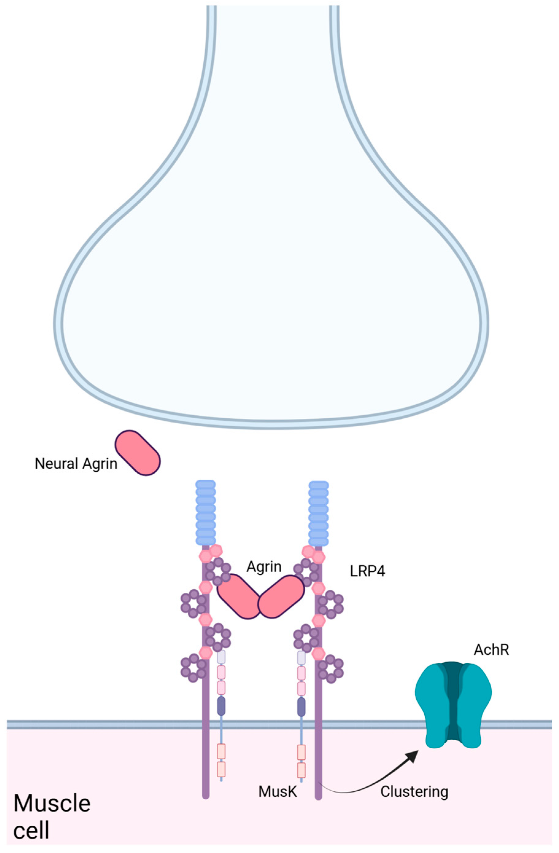 Lipidology 02 00003 g002 Lipidology 02 00003 g002