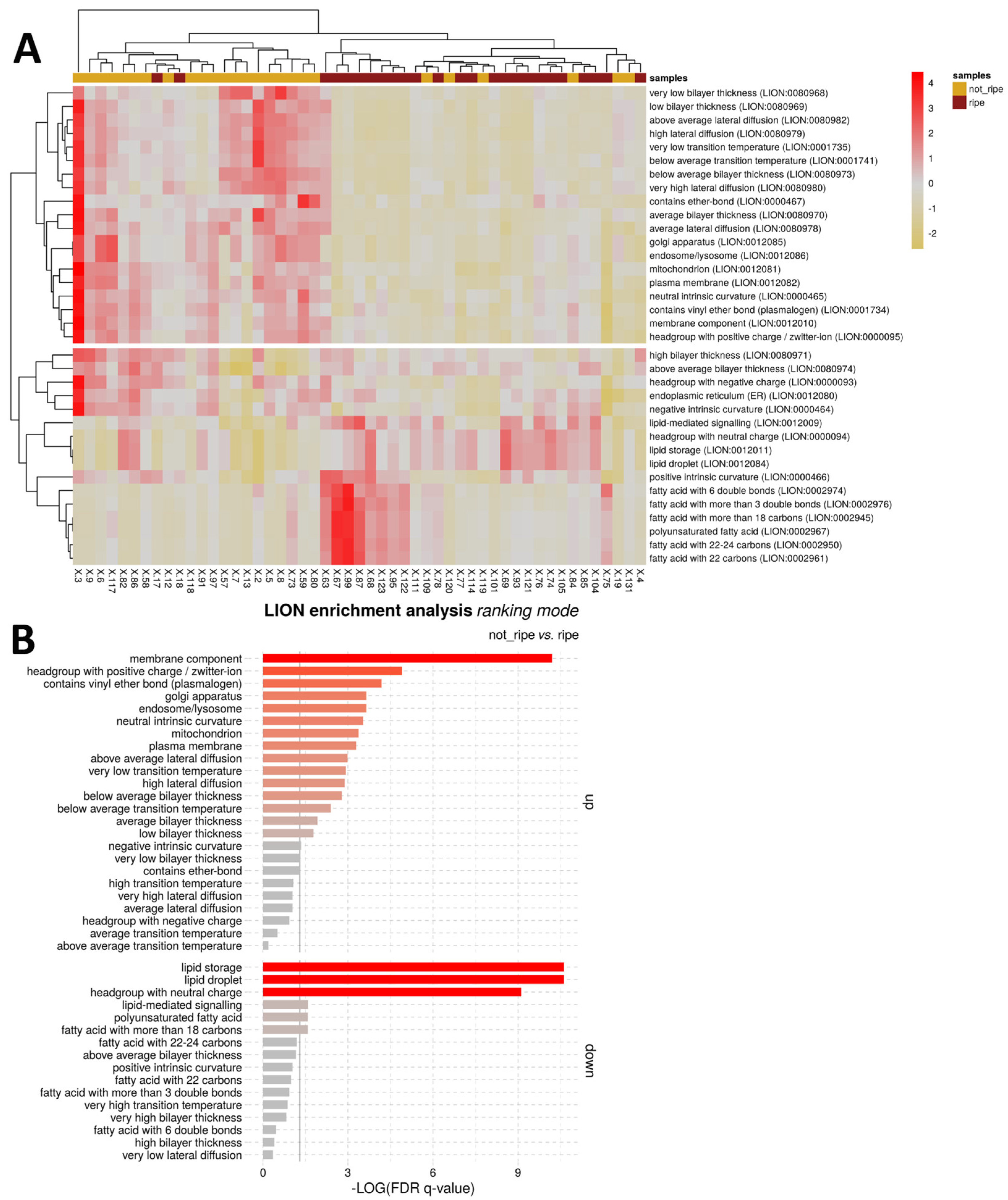 Lipidology 02 00005 g004 Lipidology 02 00005 g004