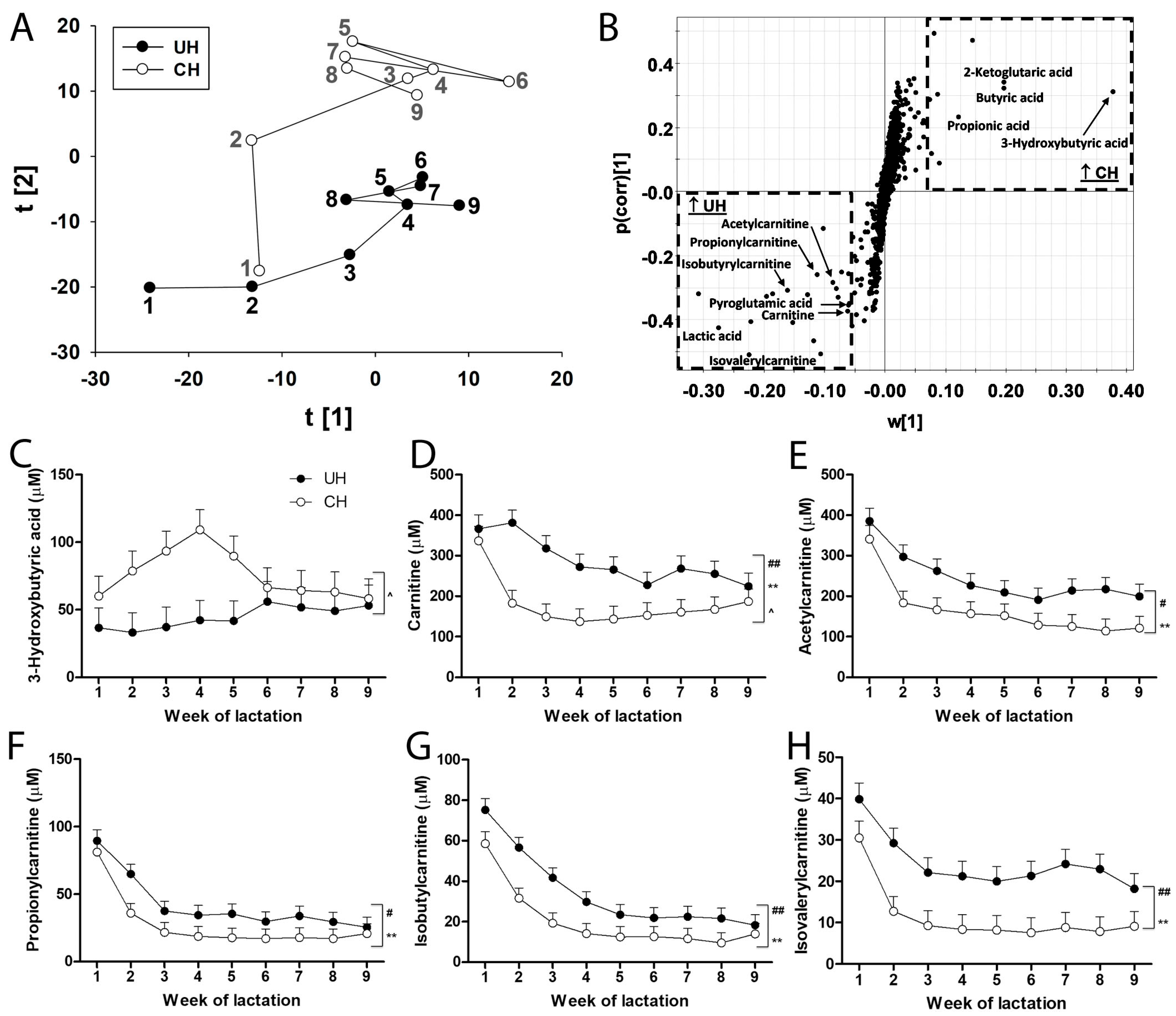 Lipidology 02 00006 g005