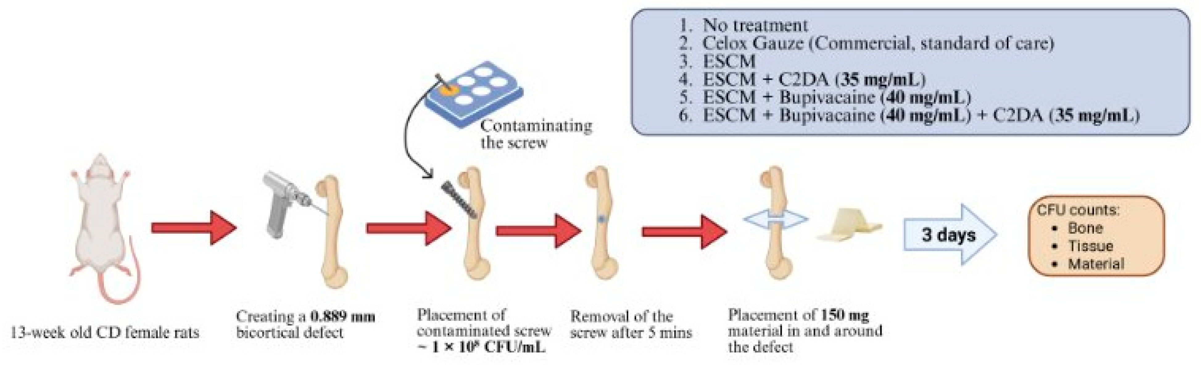 Lipidology 02 00007 g001