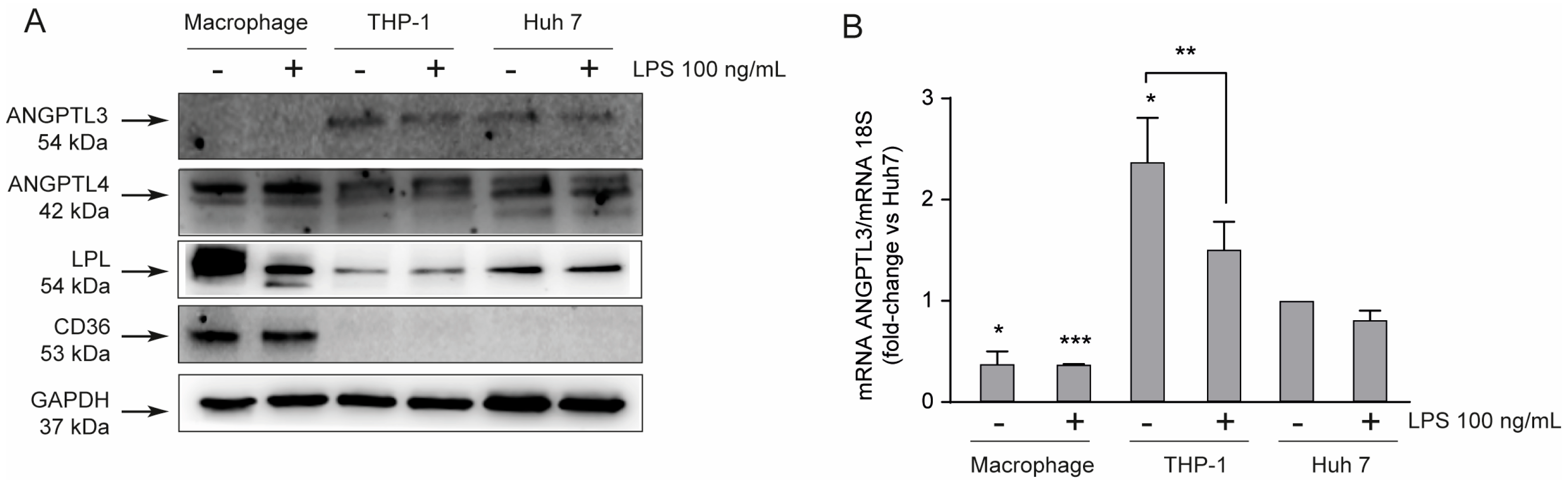 Lipidology 02 00014 g001