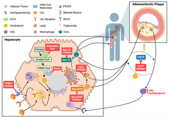 山田 山田堂 ヨイチ ロゼ ピノ・ノワール 2023 Yamadado Yoichi Rose Pinot