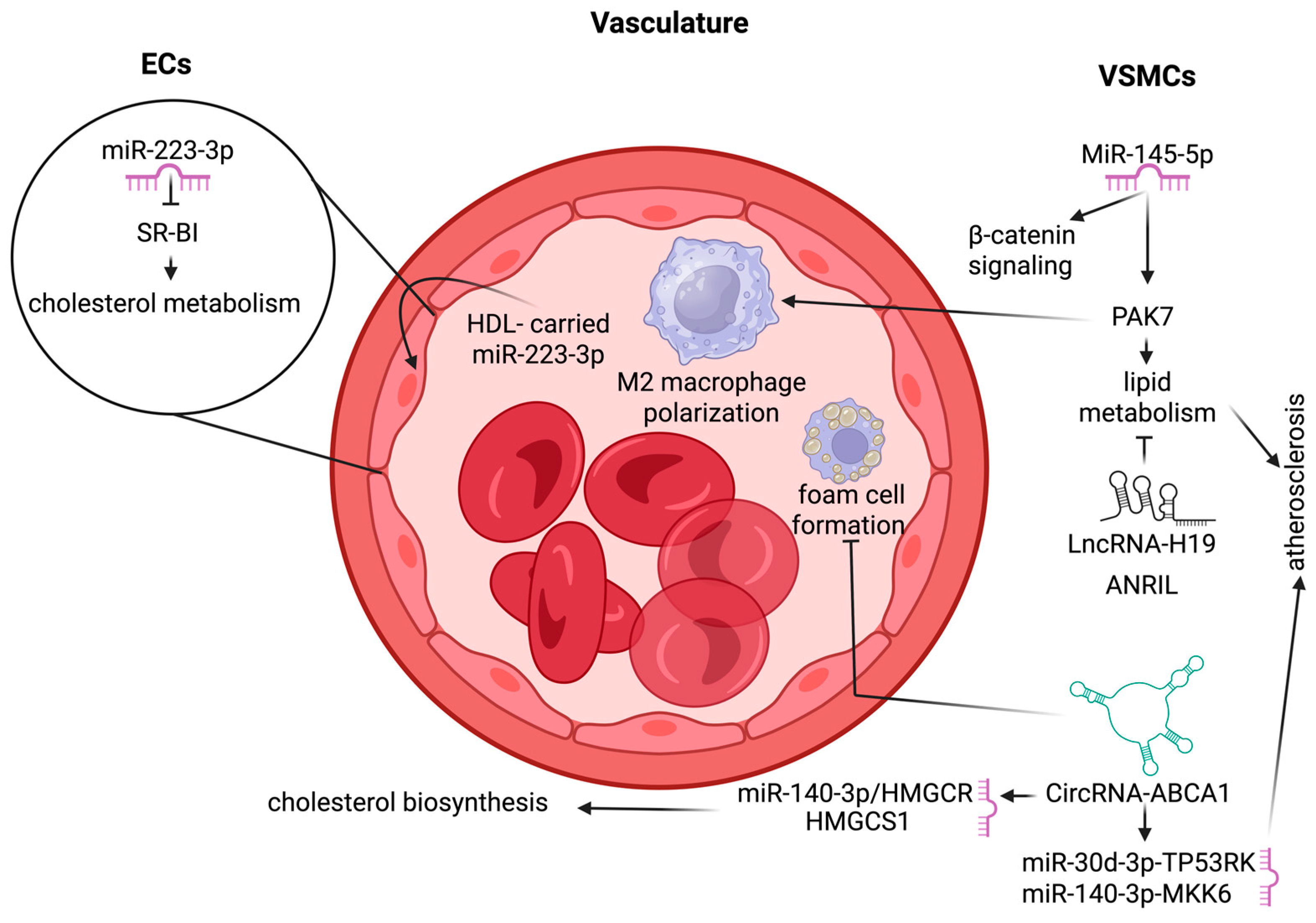 Lipidology 02 00019 g006