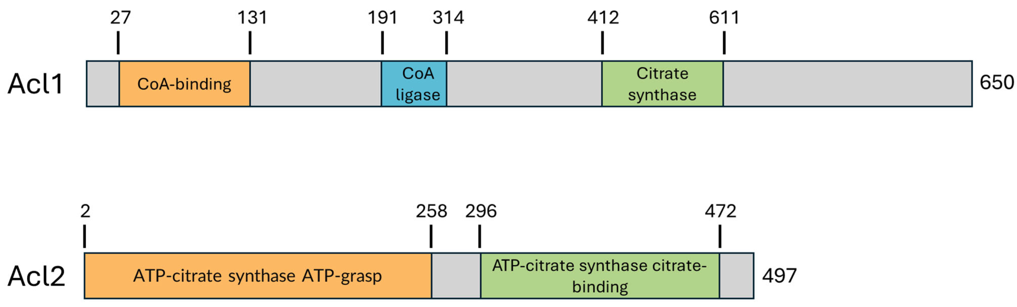 Lipidology 02 00020 g002
