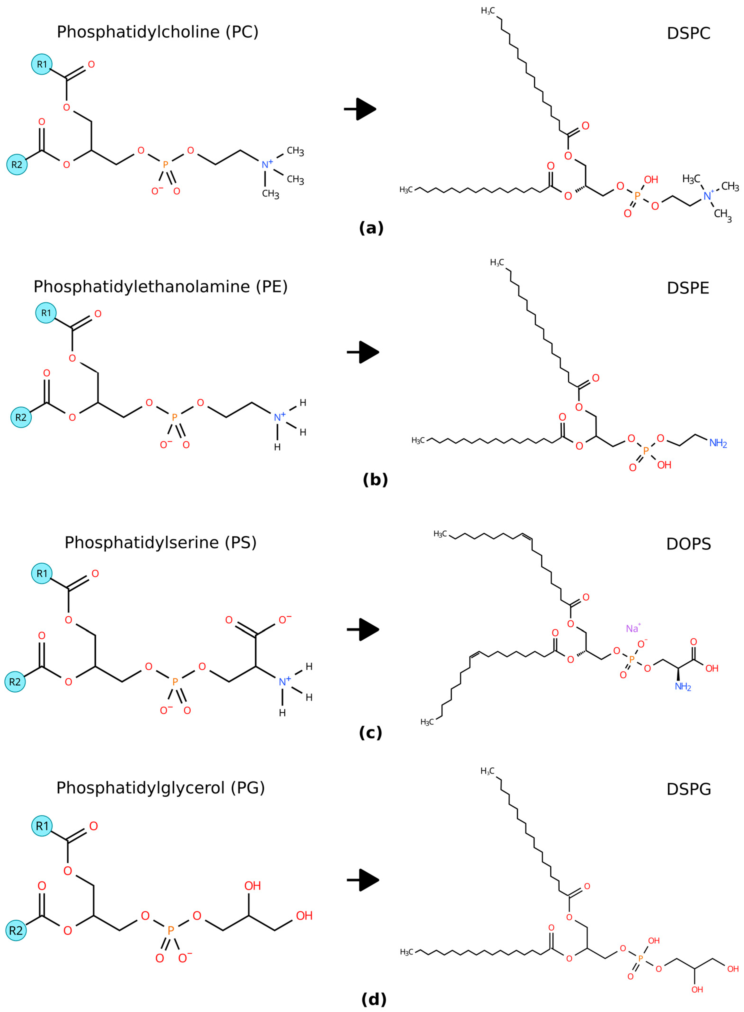 Lipidology 02 00025 g001 Lipidology 02 00025 g001