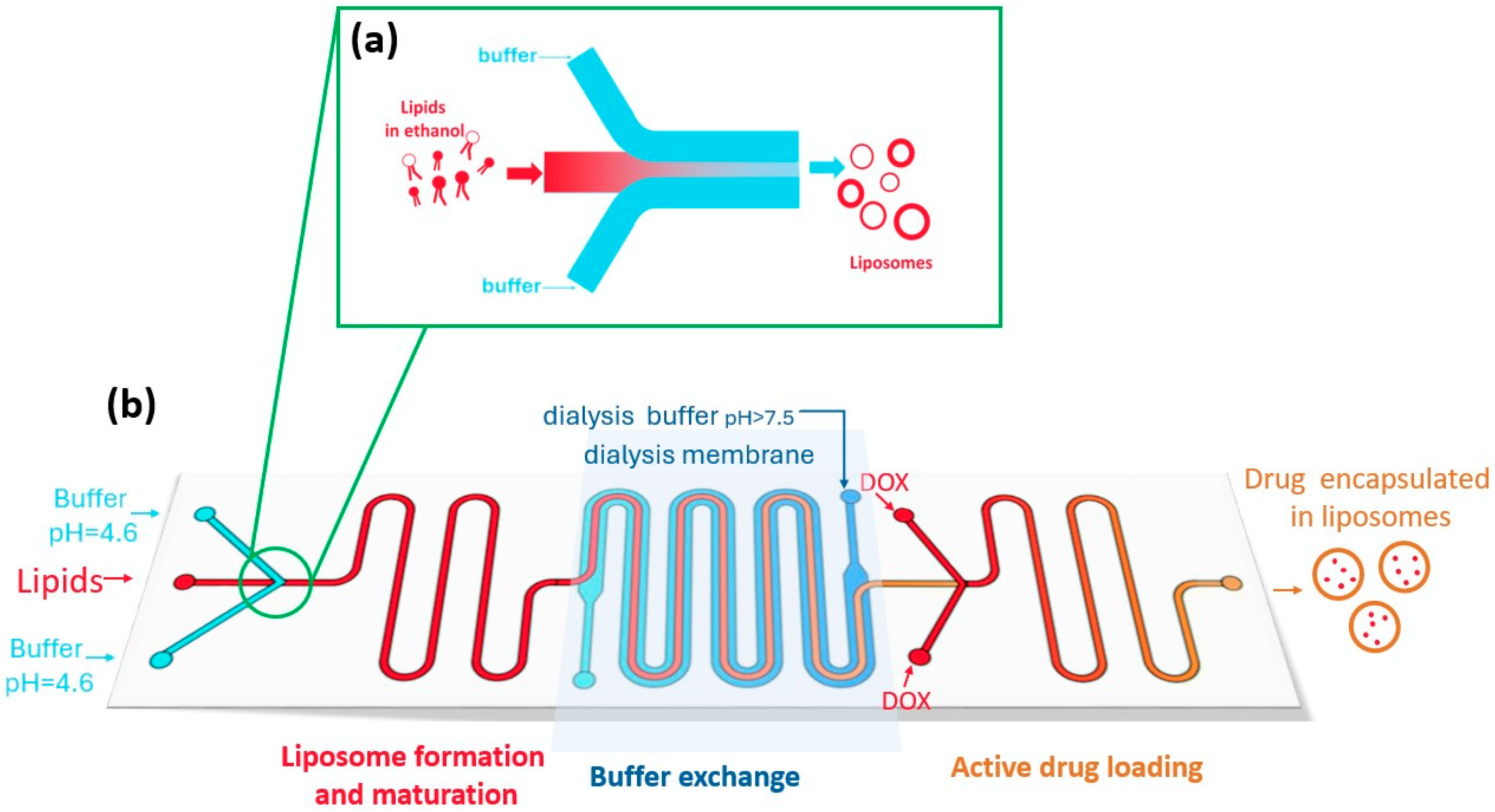 Lipidology 02 00025 g003 Lipidology 02 00025 g003