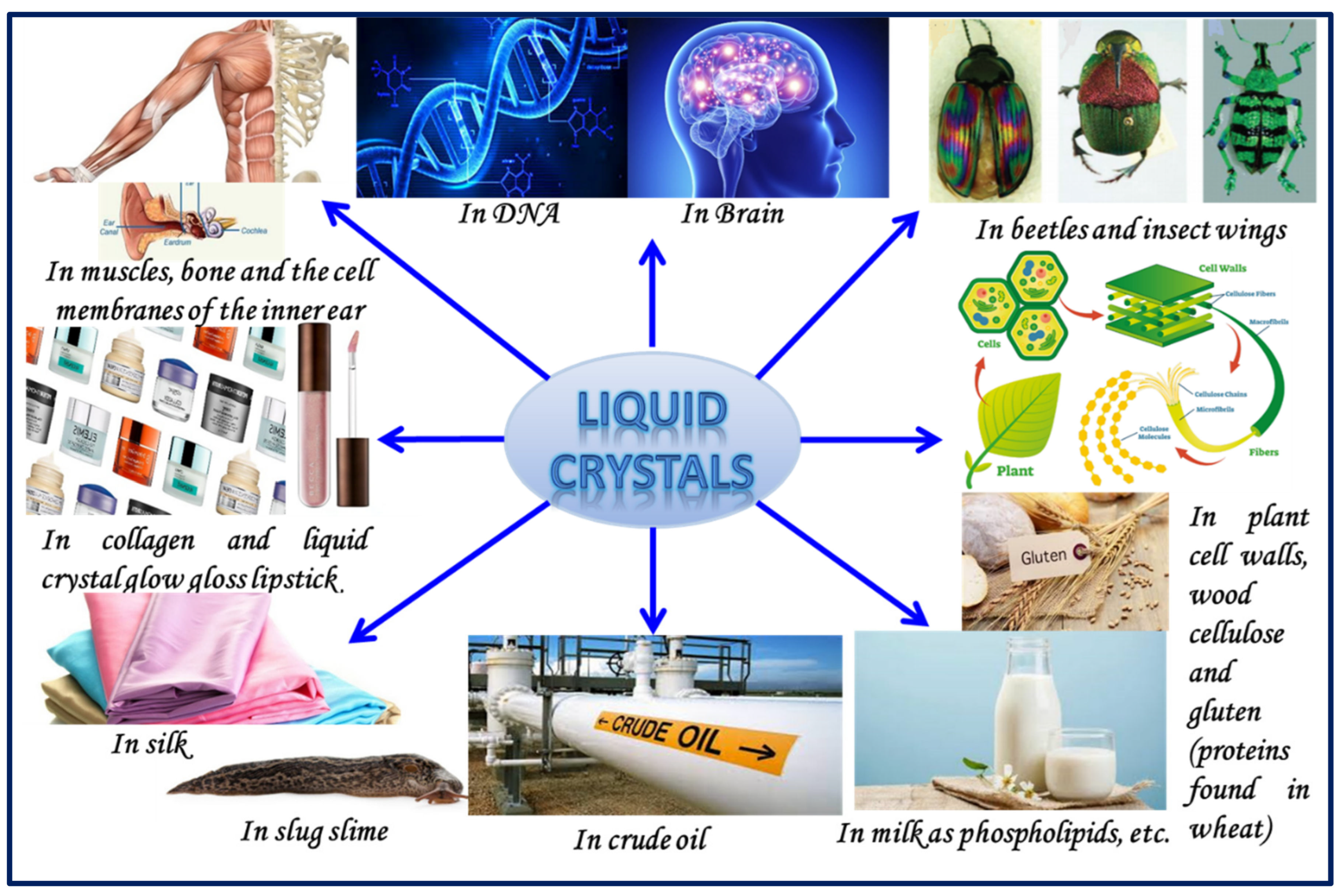 Liquids 02 00005 g001 Liquids 02 00005 g001
