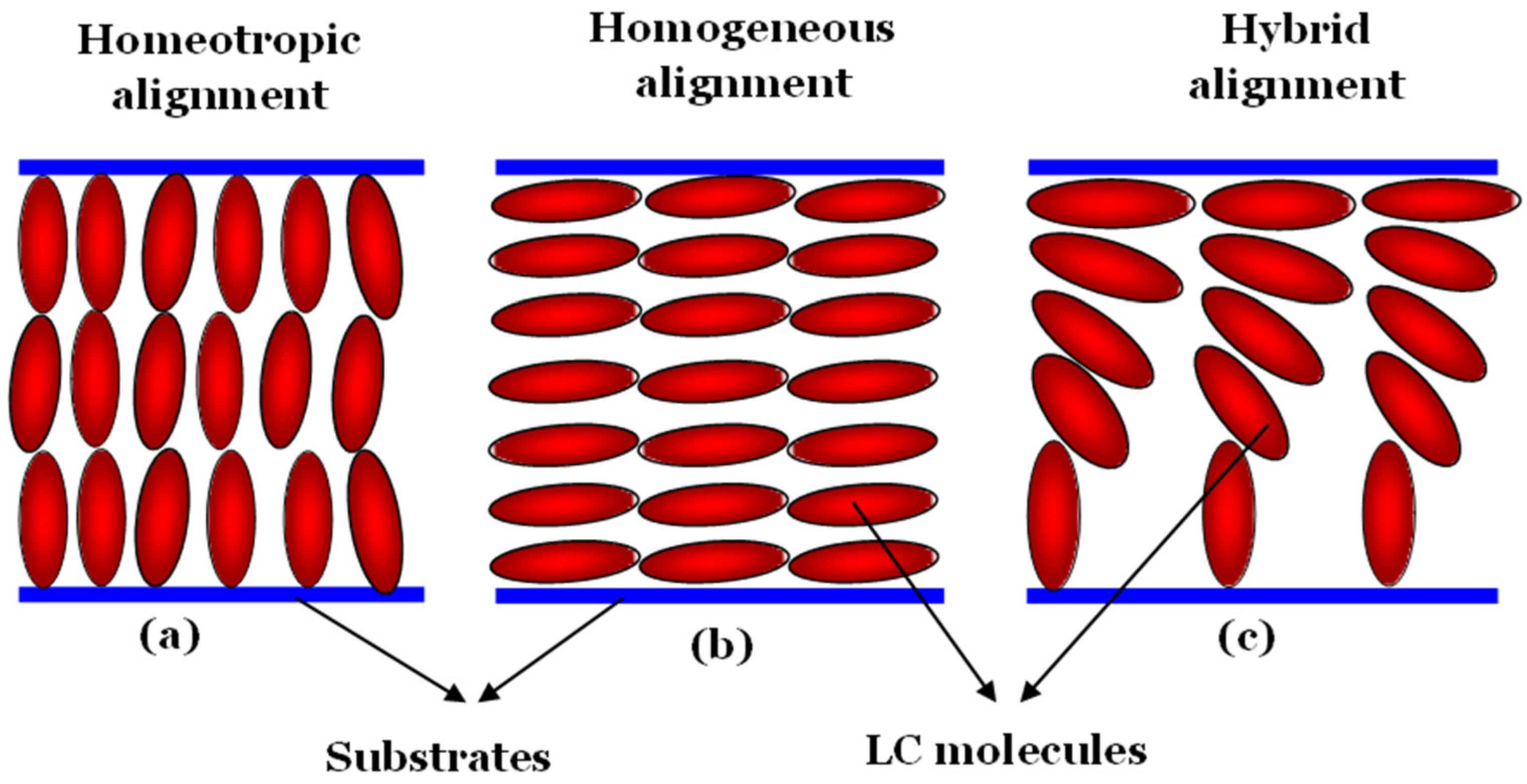 Liquids 02 00005 g003 Liquids 02 00005 g003