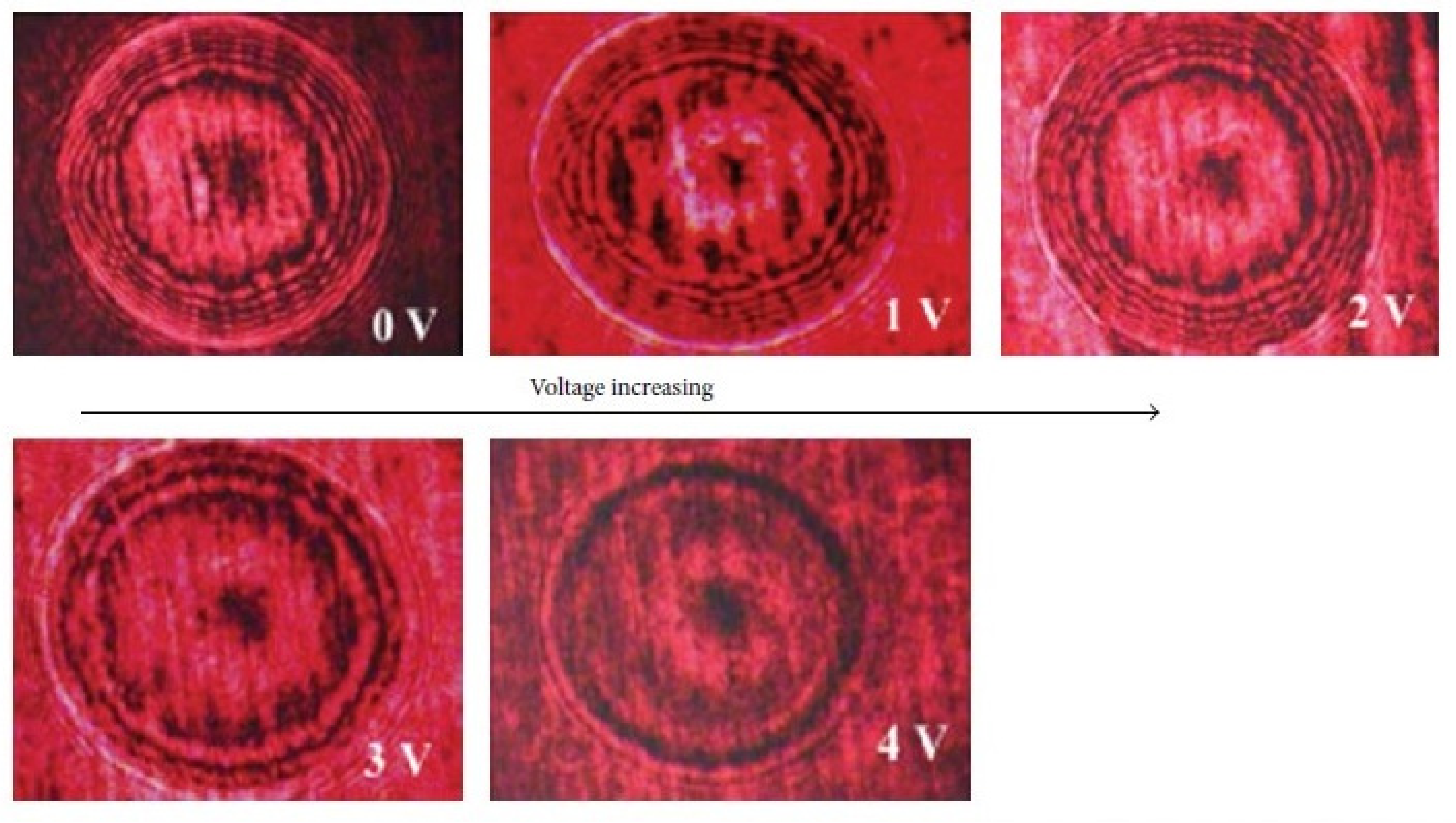 Liquids 02 00005 g012 Liquids 02 00005 g012