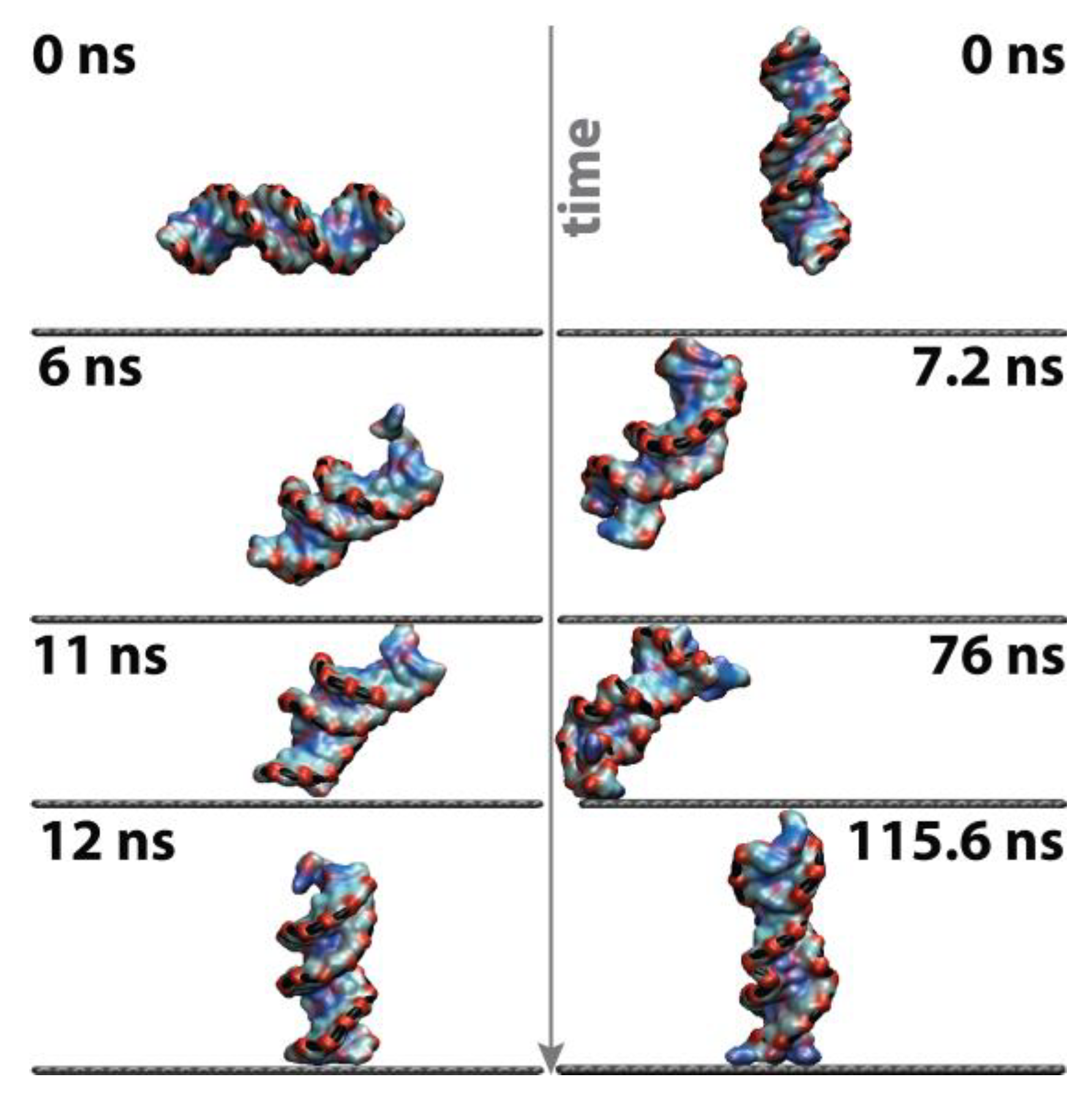 Liquids 03 00013 g003 Liquids 03 00013 g003