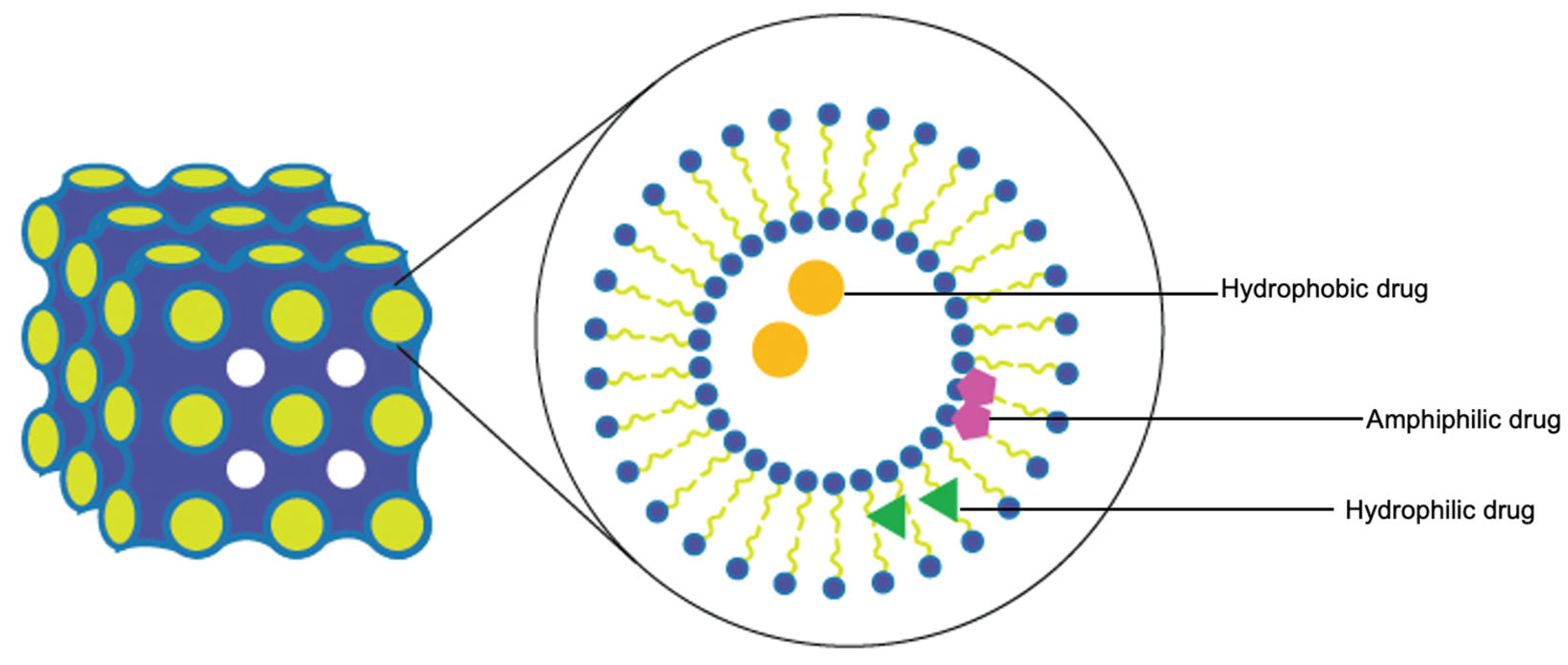 Liquids 03 00029 g004