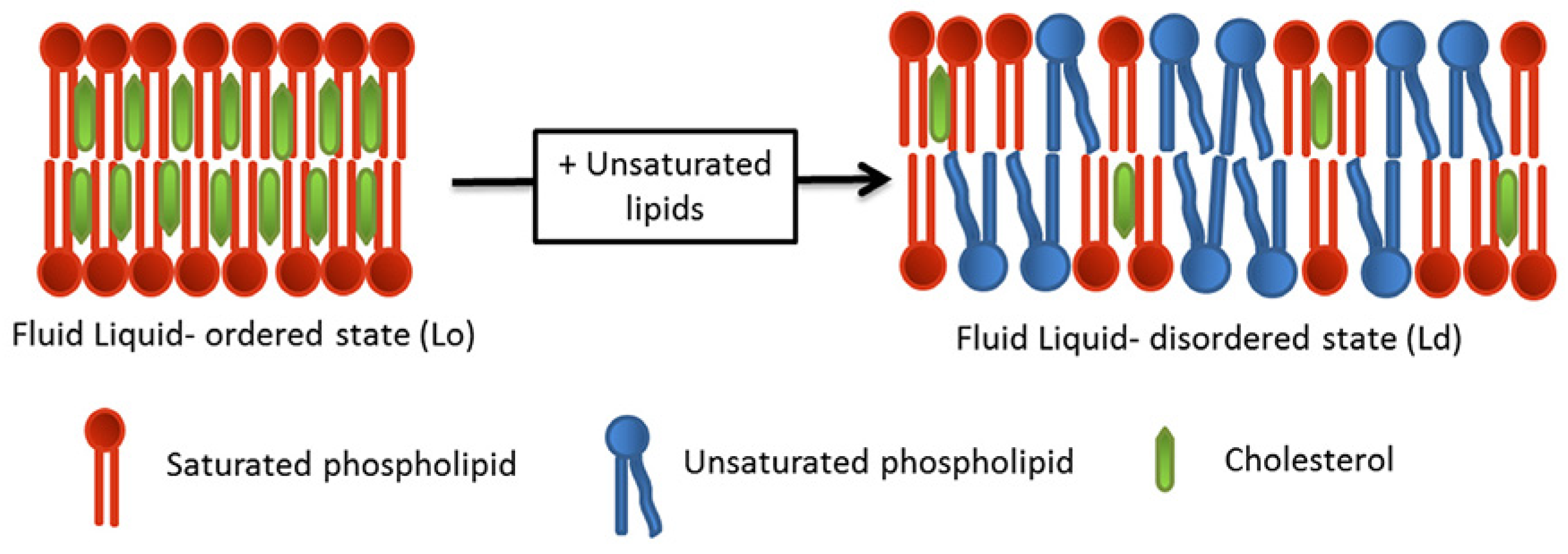 Liquids 04 00007 g001 Liquids 04 00007 g001