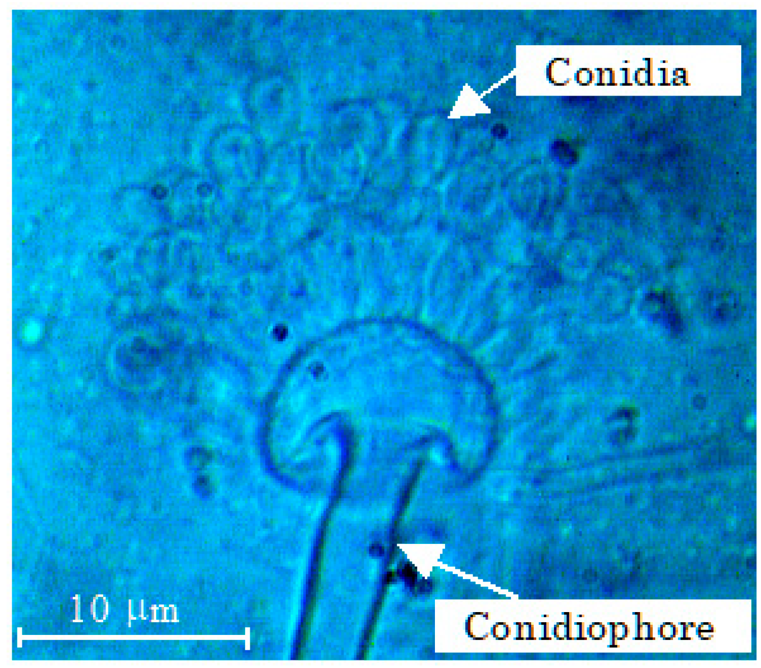 Liquids 04 00023 g001
