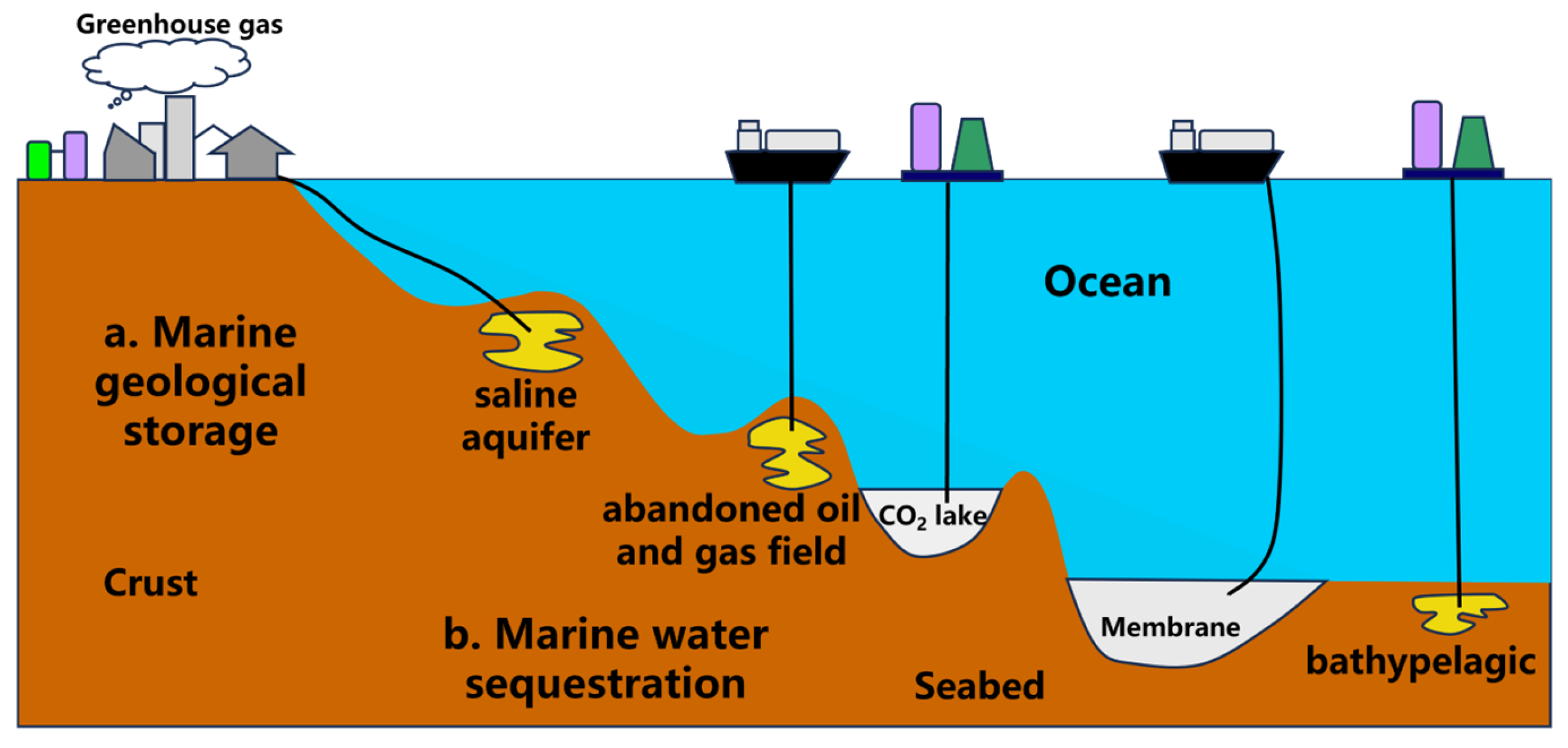 Liquids 04 00042 g001