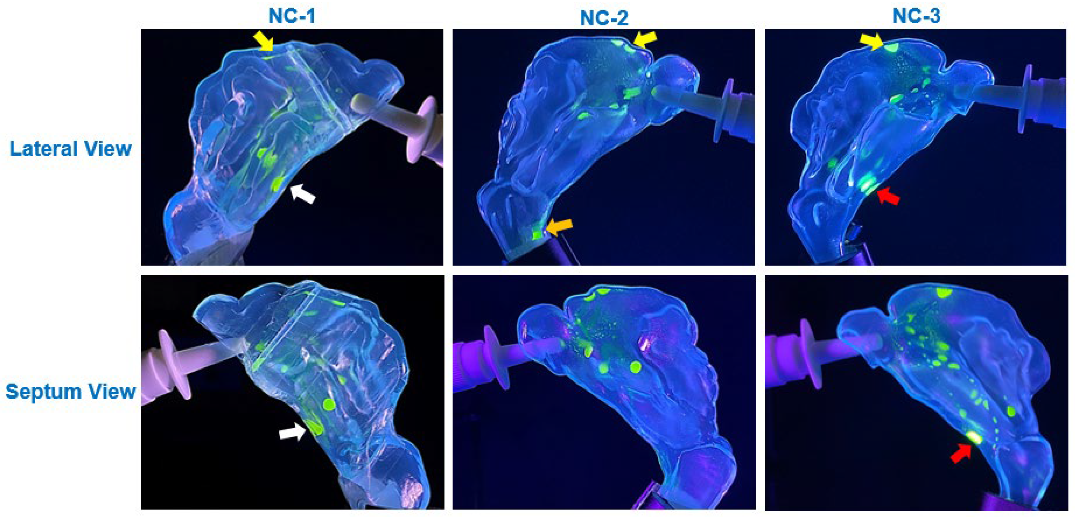 Liquids 05 00011 g006