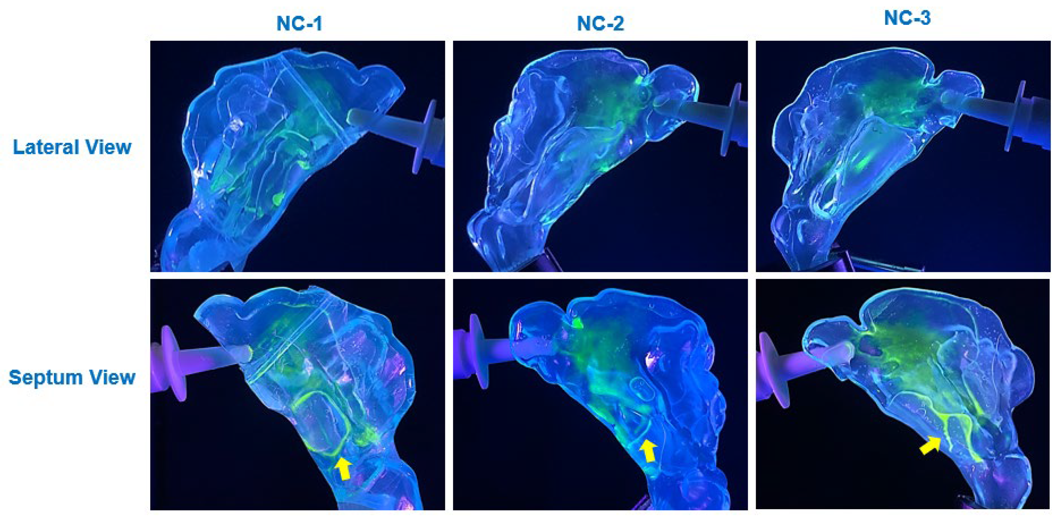 Liquids 05 00011 g008