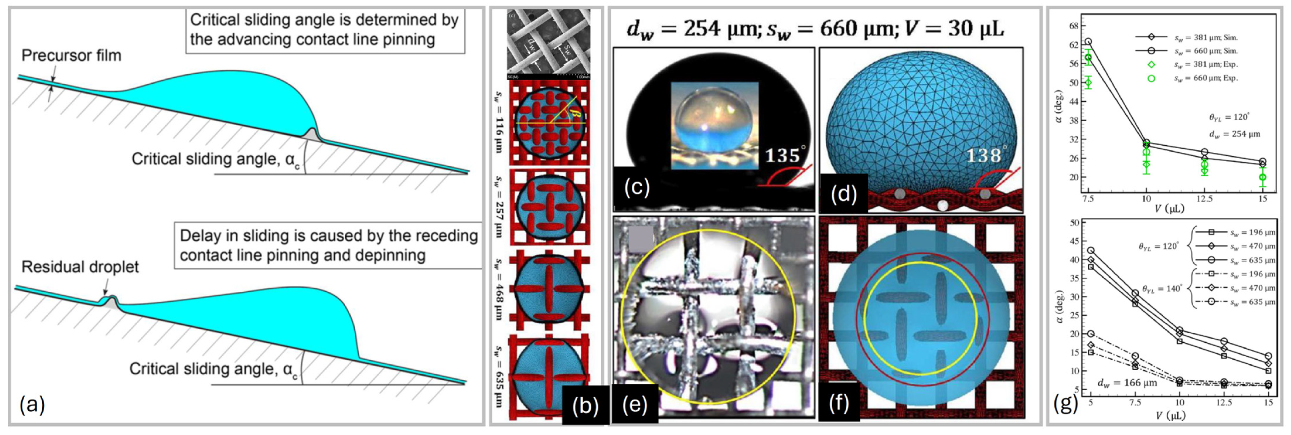 Liquids 05 00029 g010