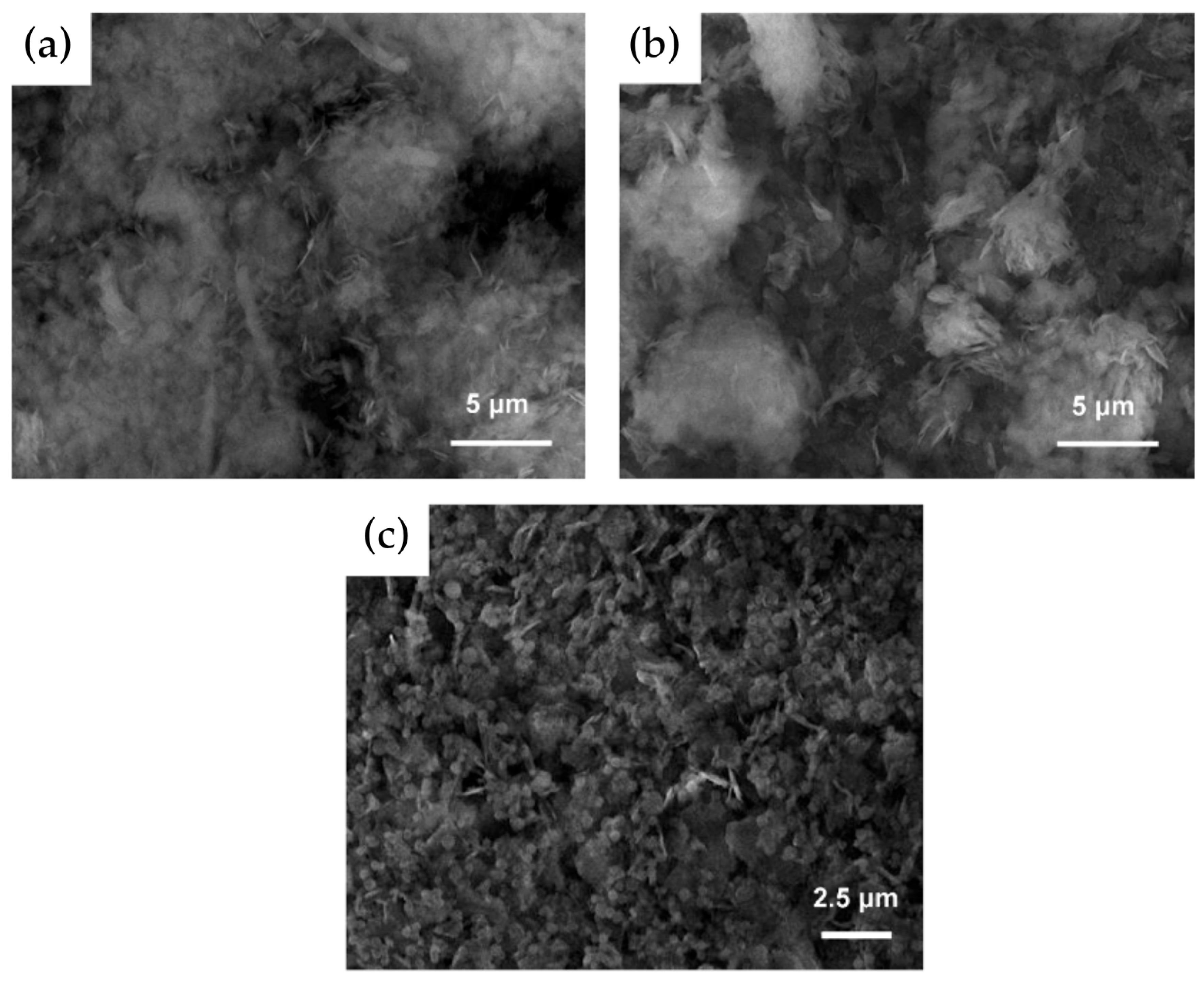 Liquids 05 00031 g007