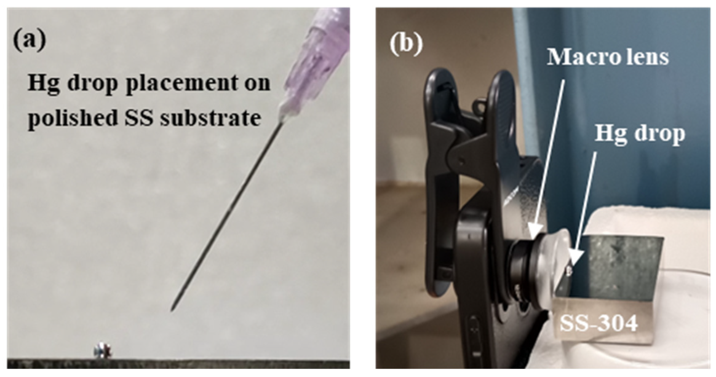 Liquids 05 00033 g002 Liquids 05 00033 g002