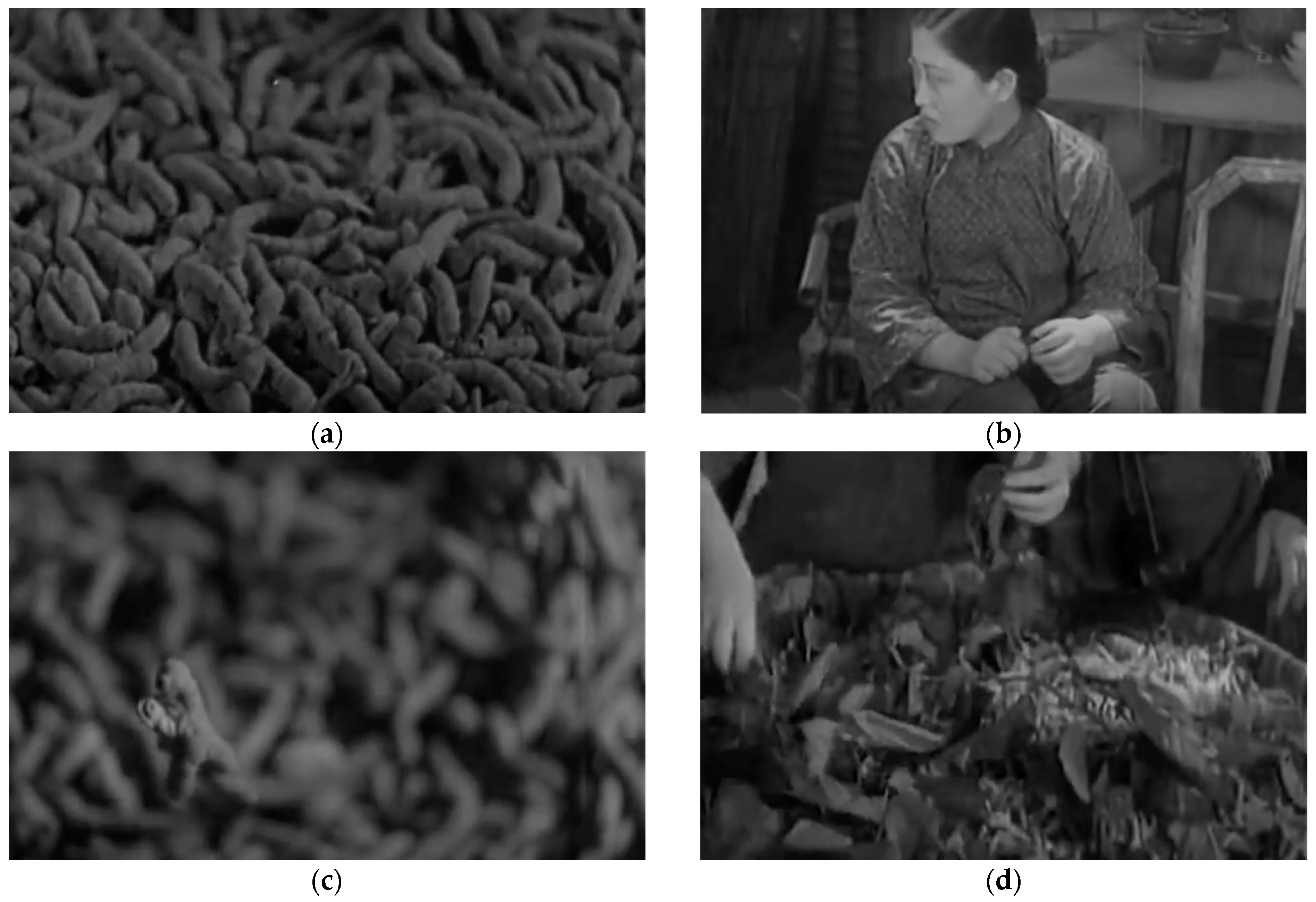 Literature 02 00019 g002