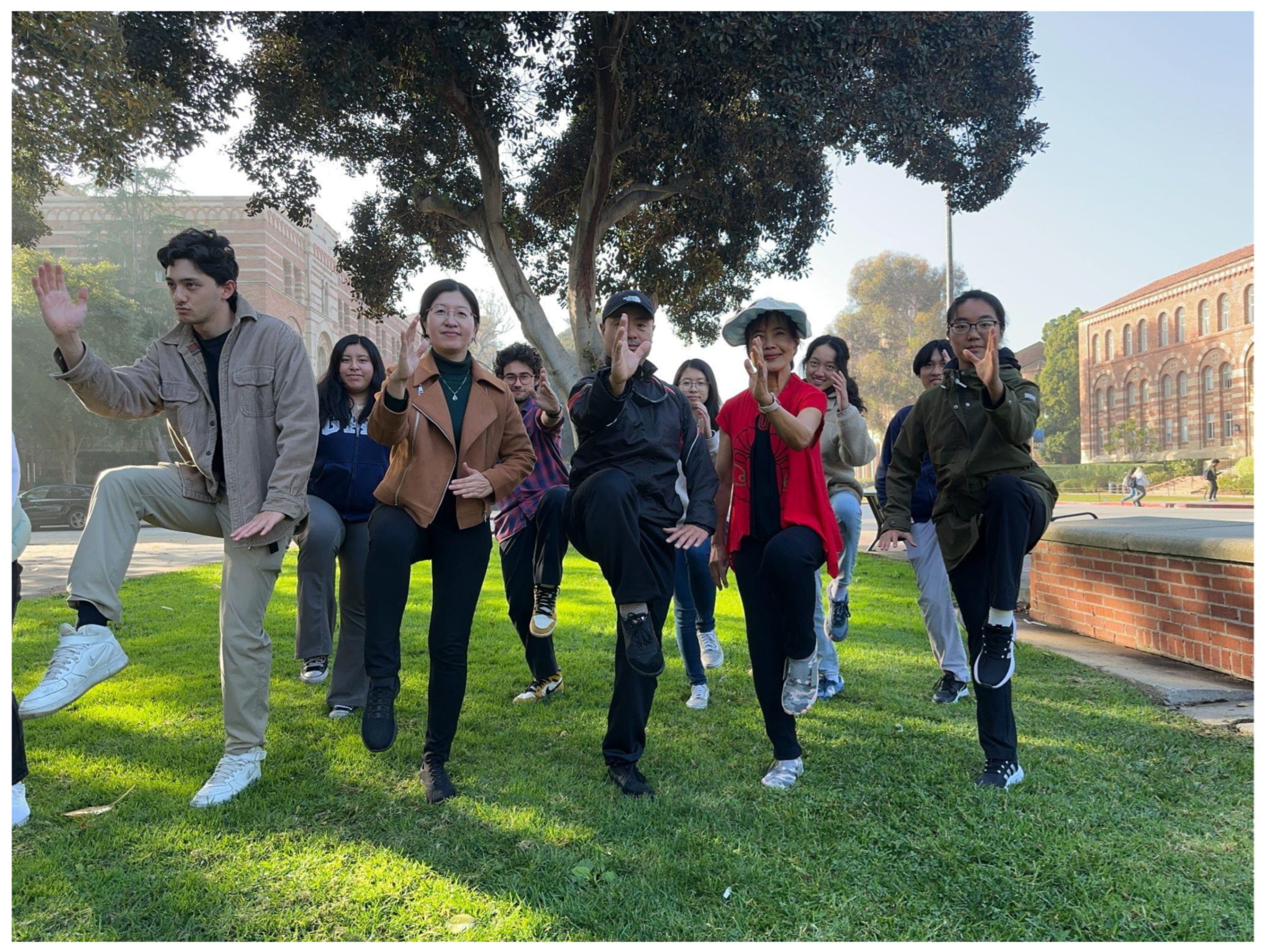 Literature 05 00026 g007