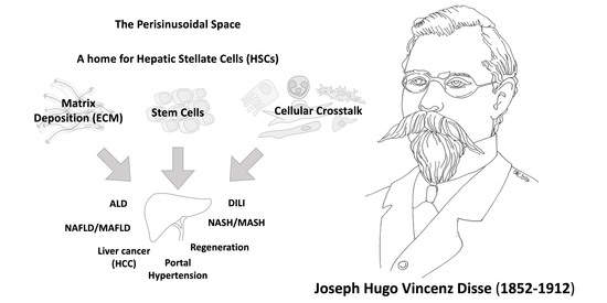 hugo meyer obituary 1997
