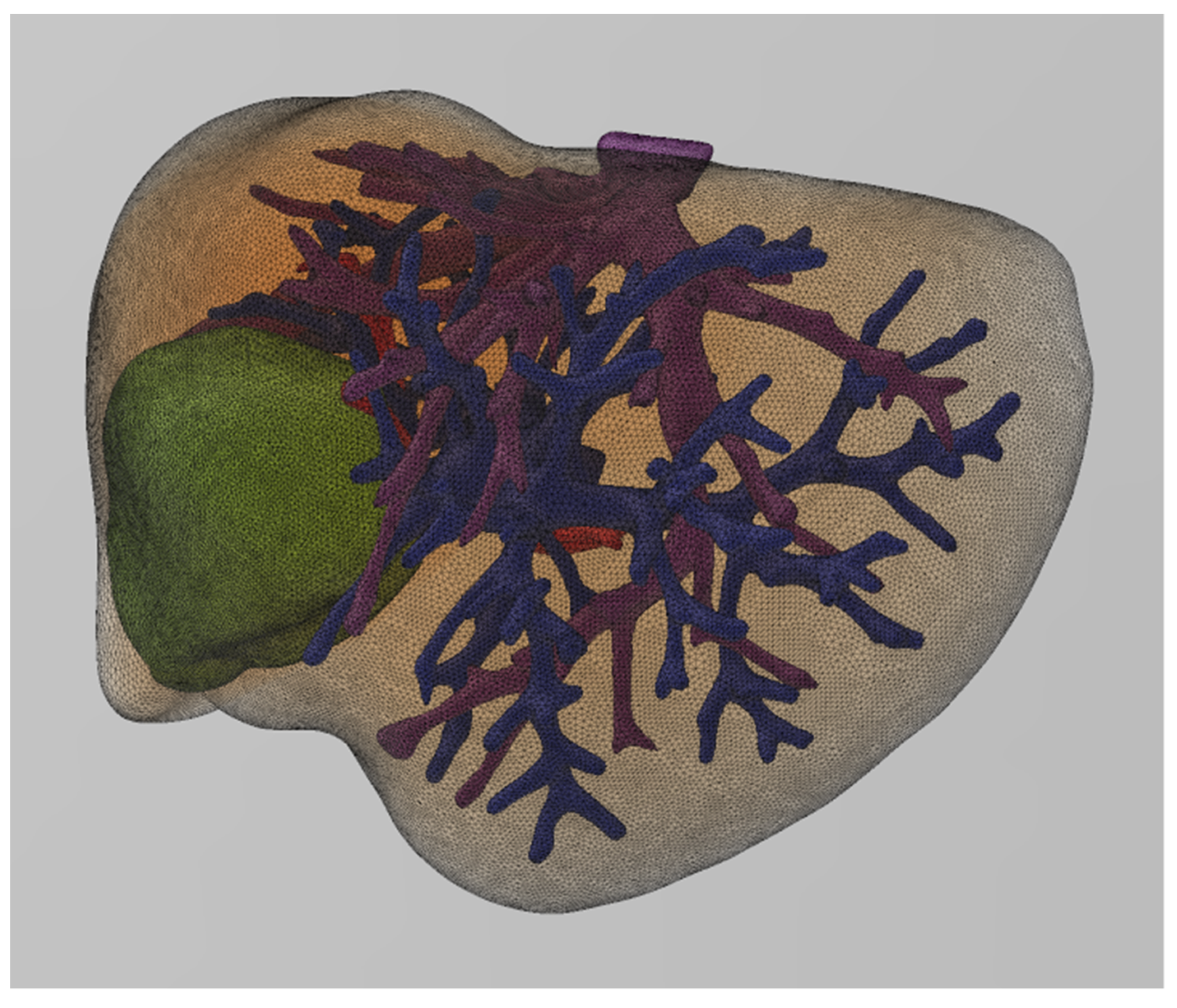 Livers 01 00013 g006 550