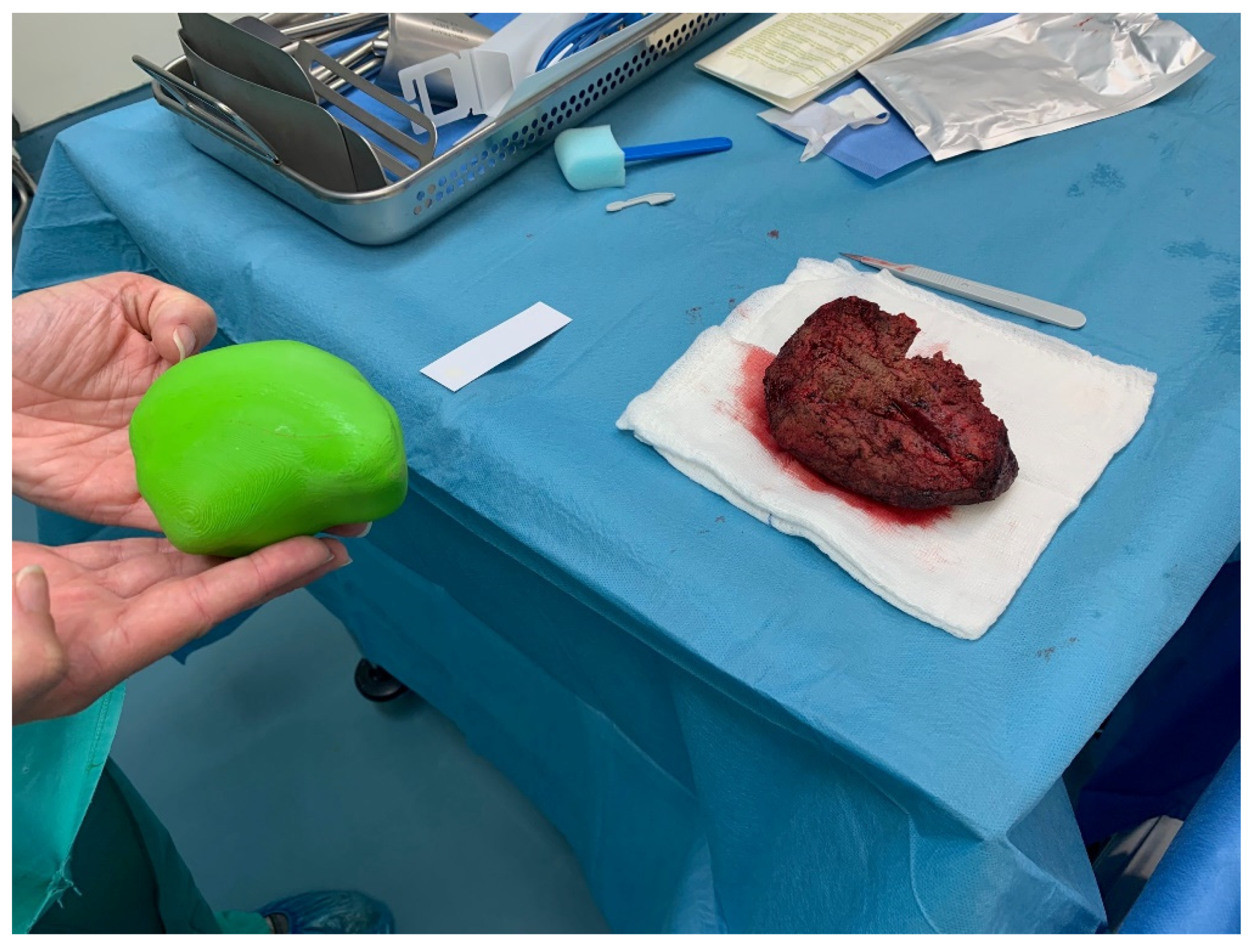 Livers 01 00013 g007 550