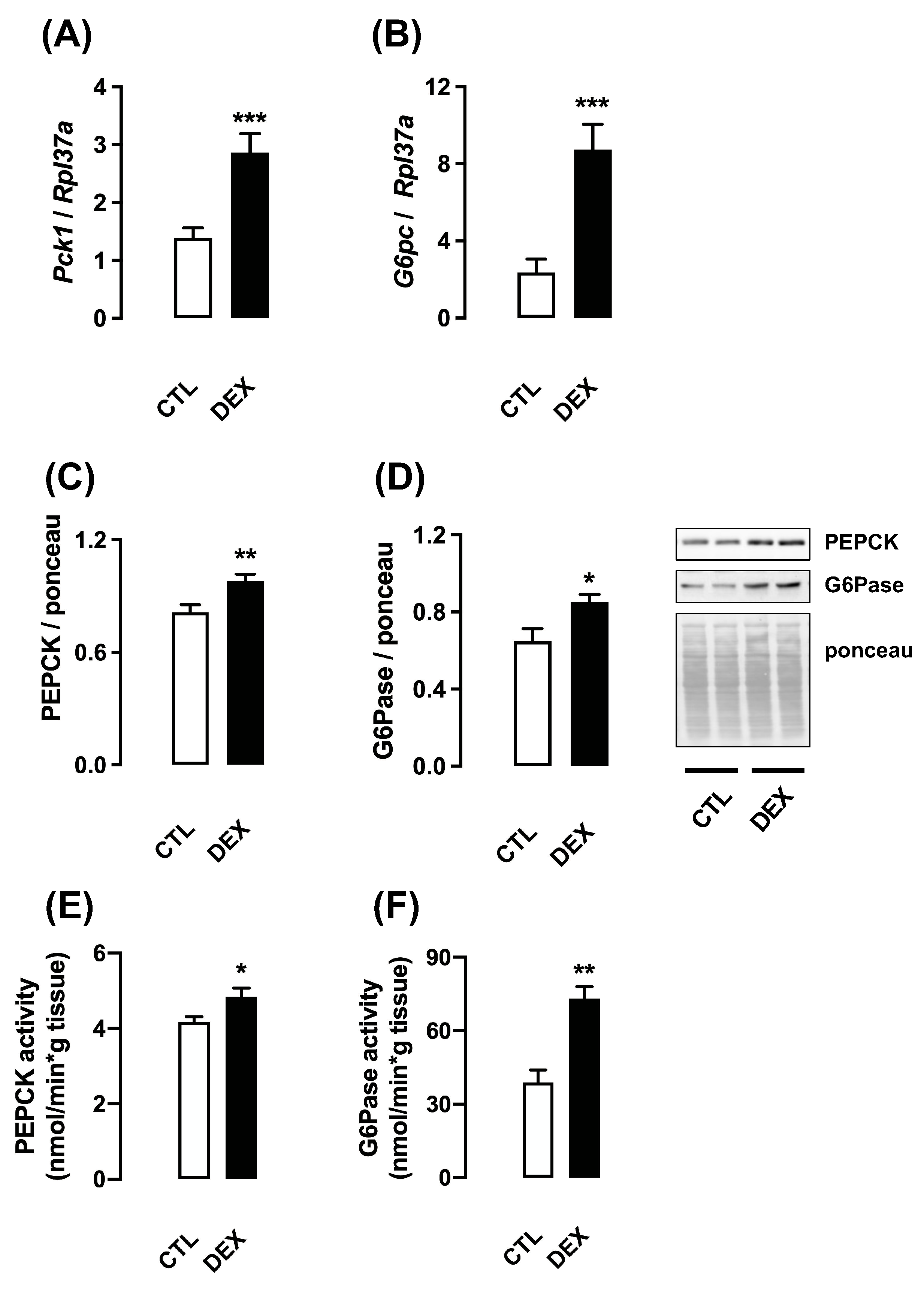 Livers 01 00016 g002