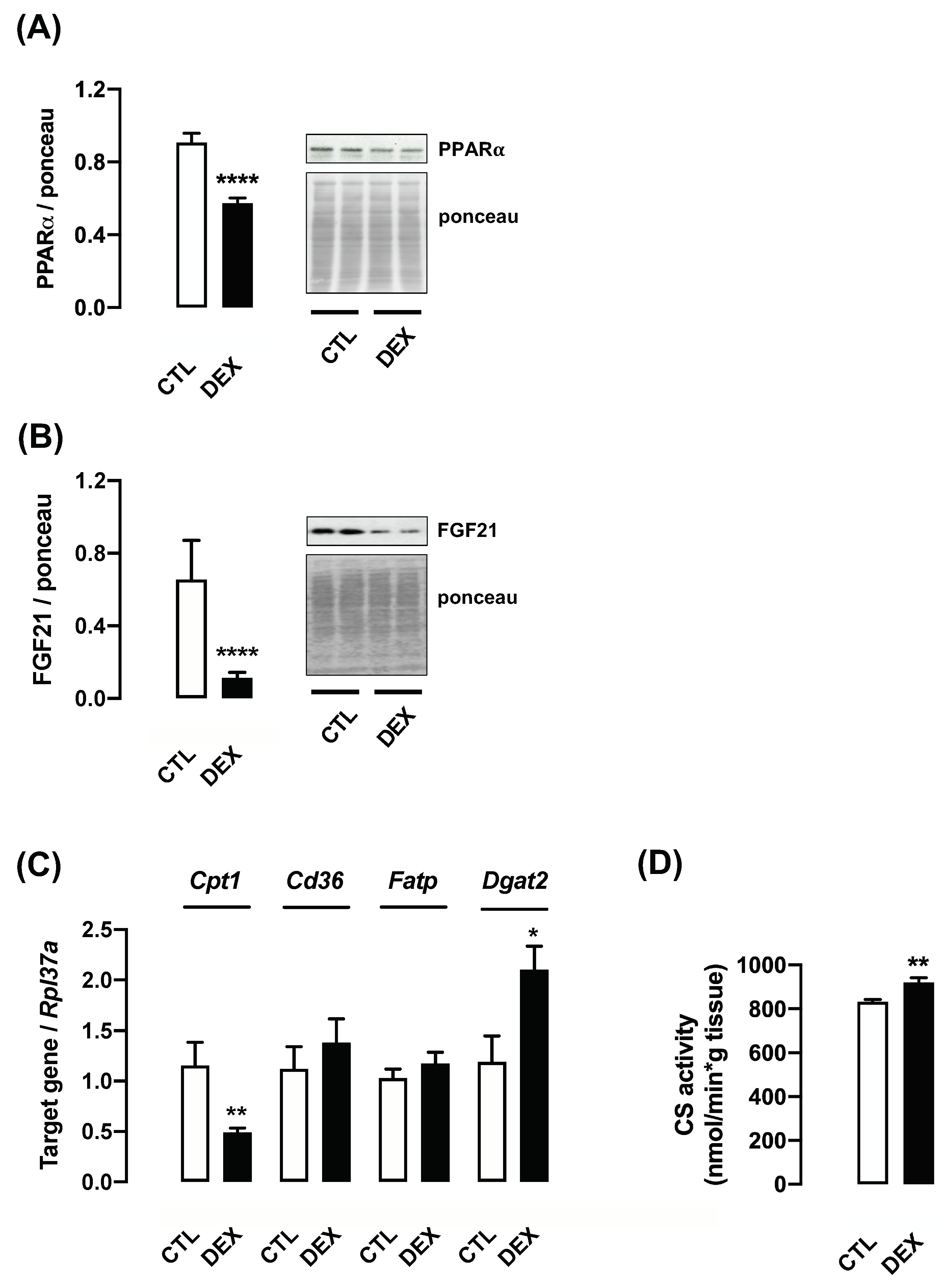 Livers 01 00016 g008