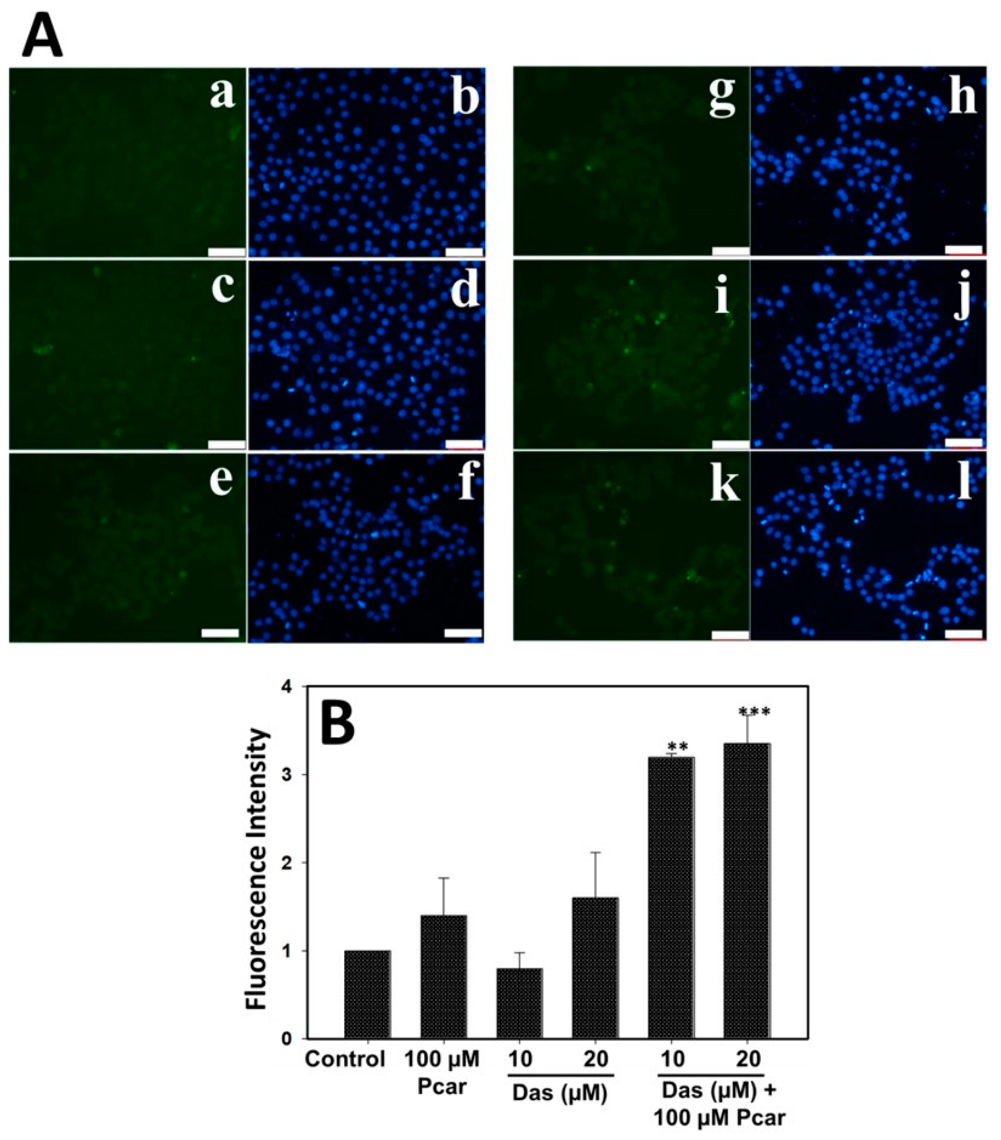 Livers 02 00026 g004