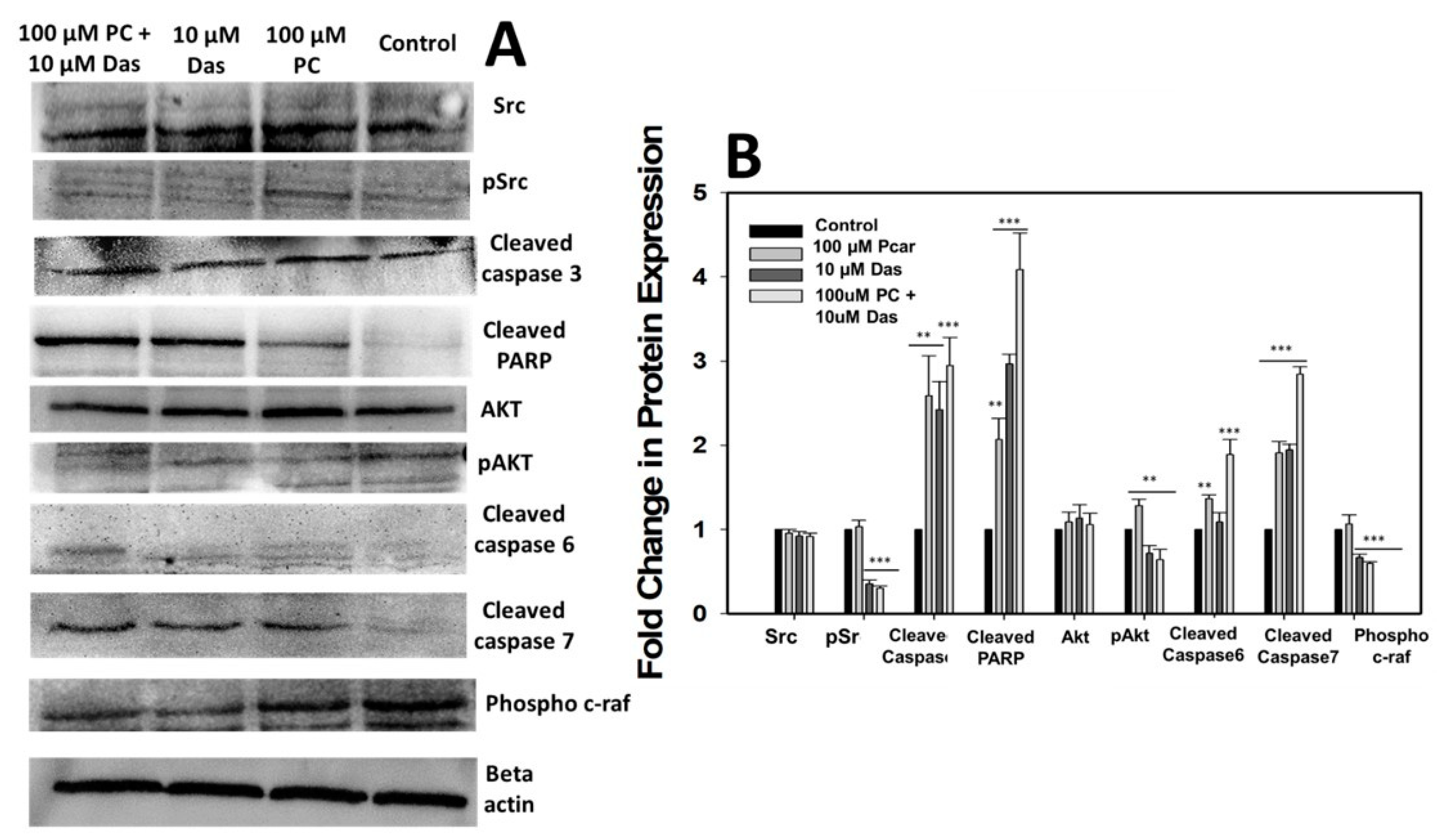 Livers 02 00026 g007