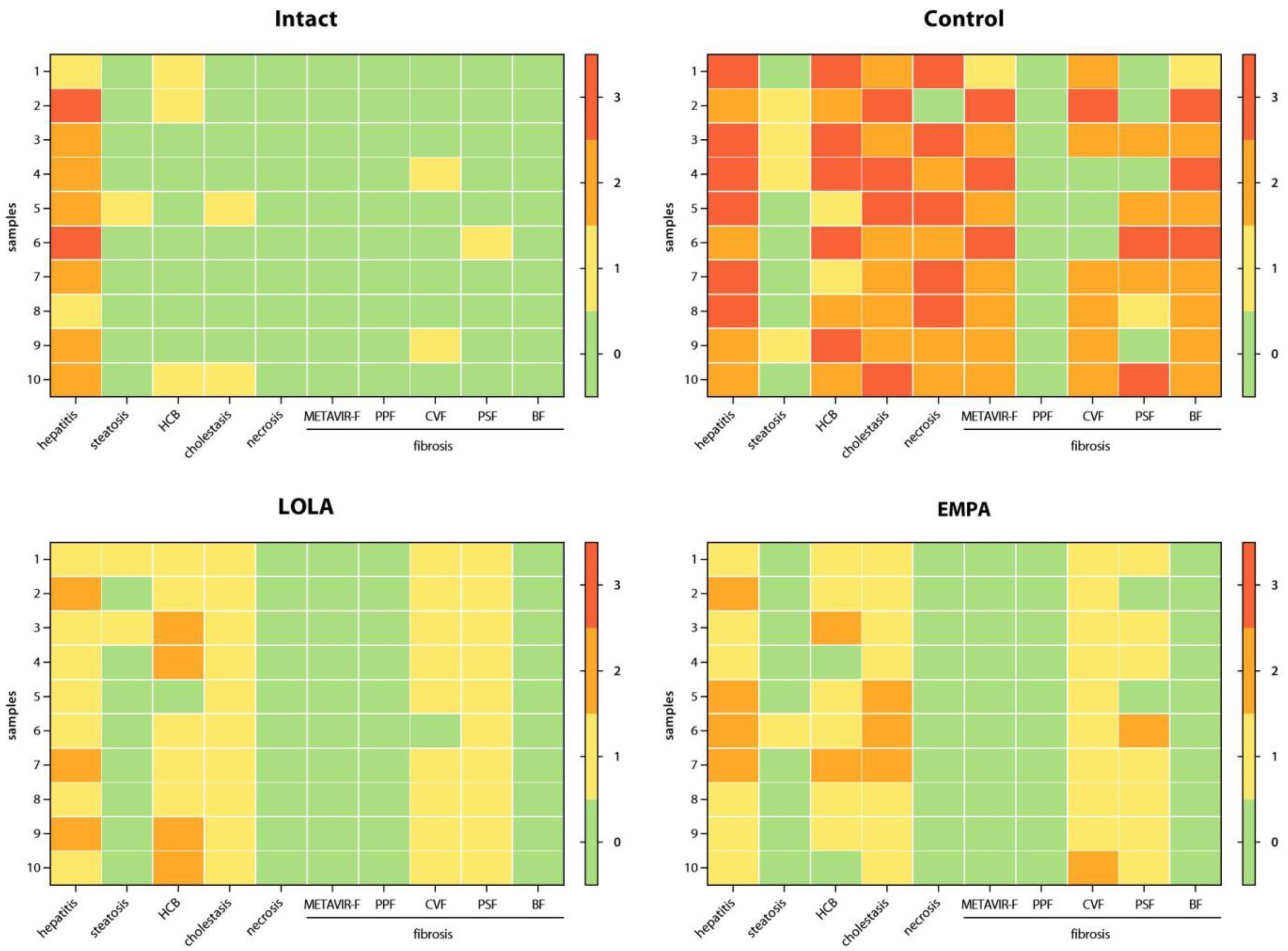 Livers 02 00031 g005