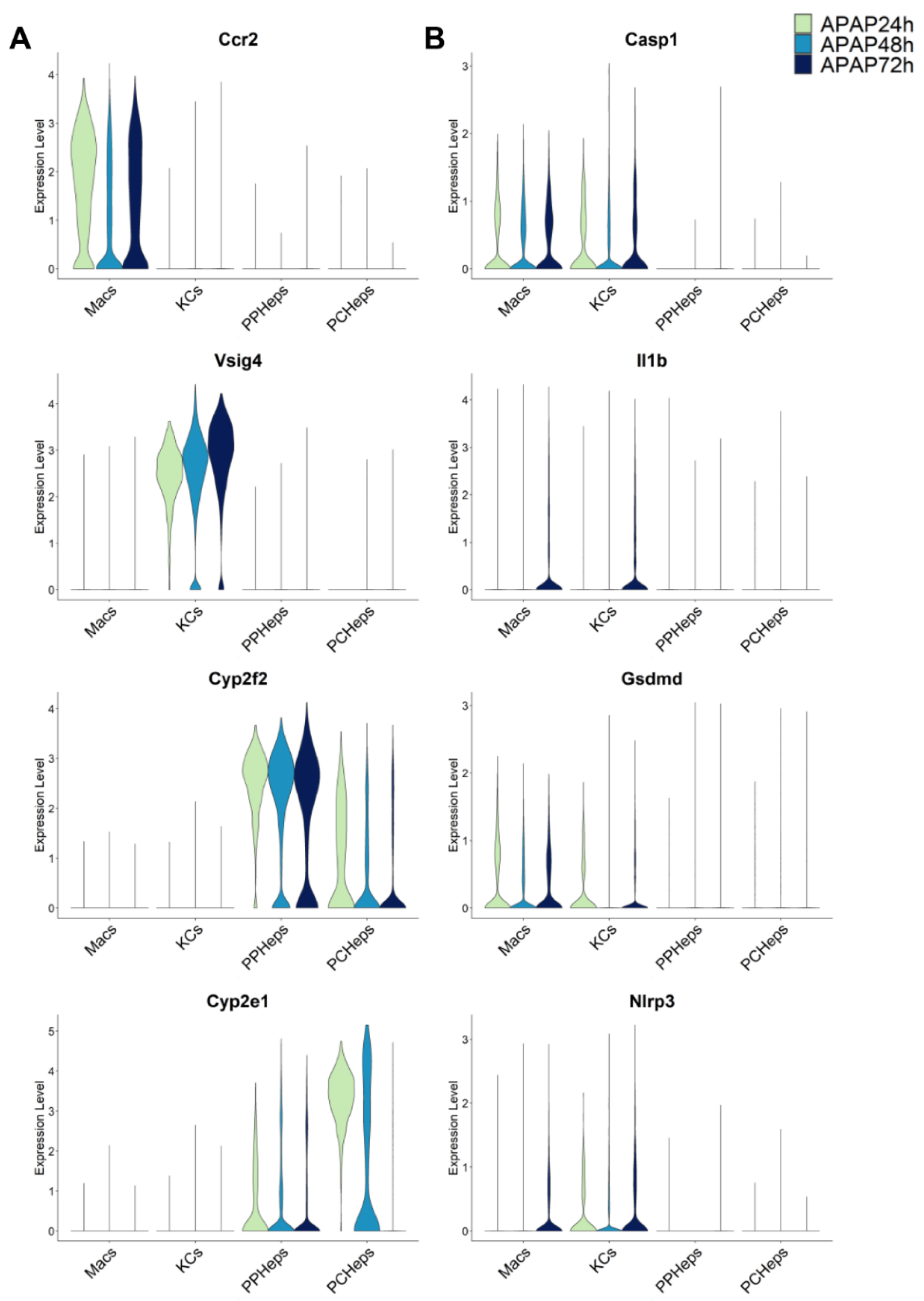 Livers 02 00032 g002 Livers 02 00032 g002