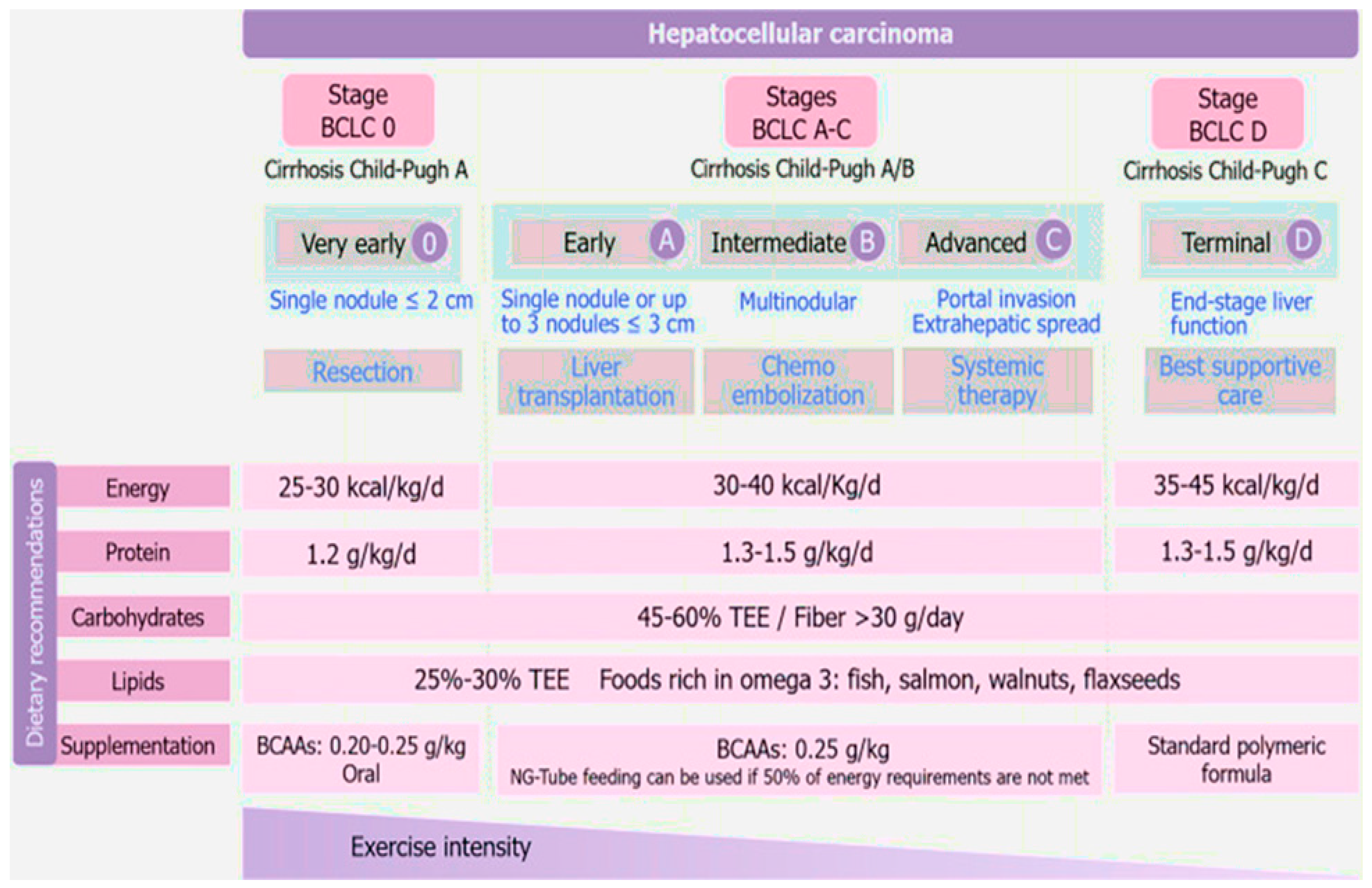 Livers Free FullText Principles of Nutritional Management in