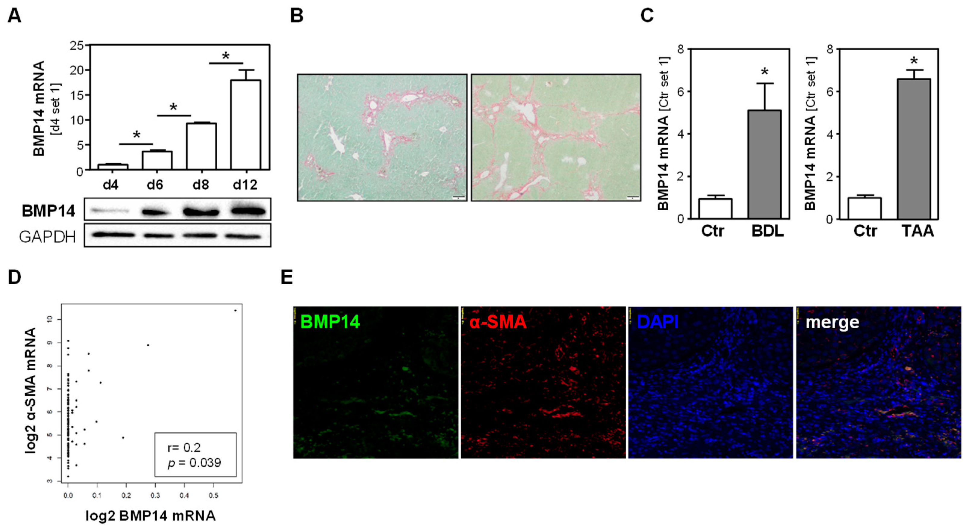 Livers 03 00019 g001 Livers 03 00019 g001