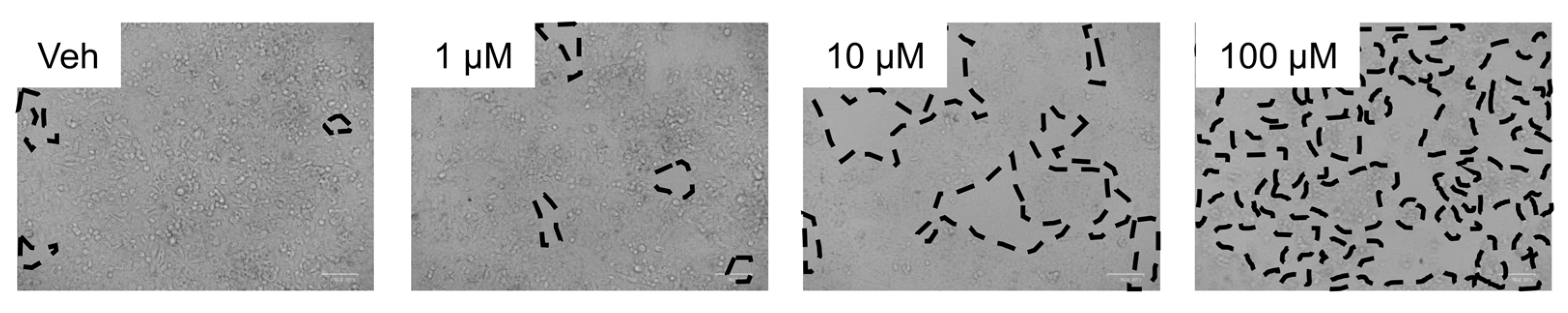 Livers 03 00022 g003