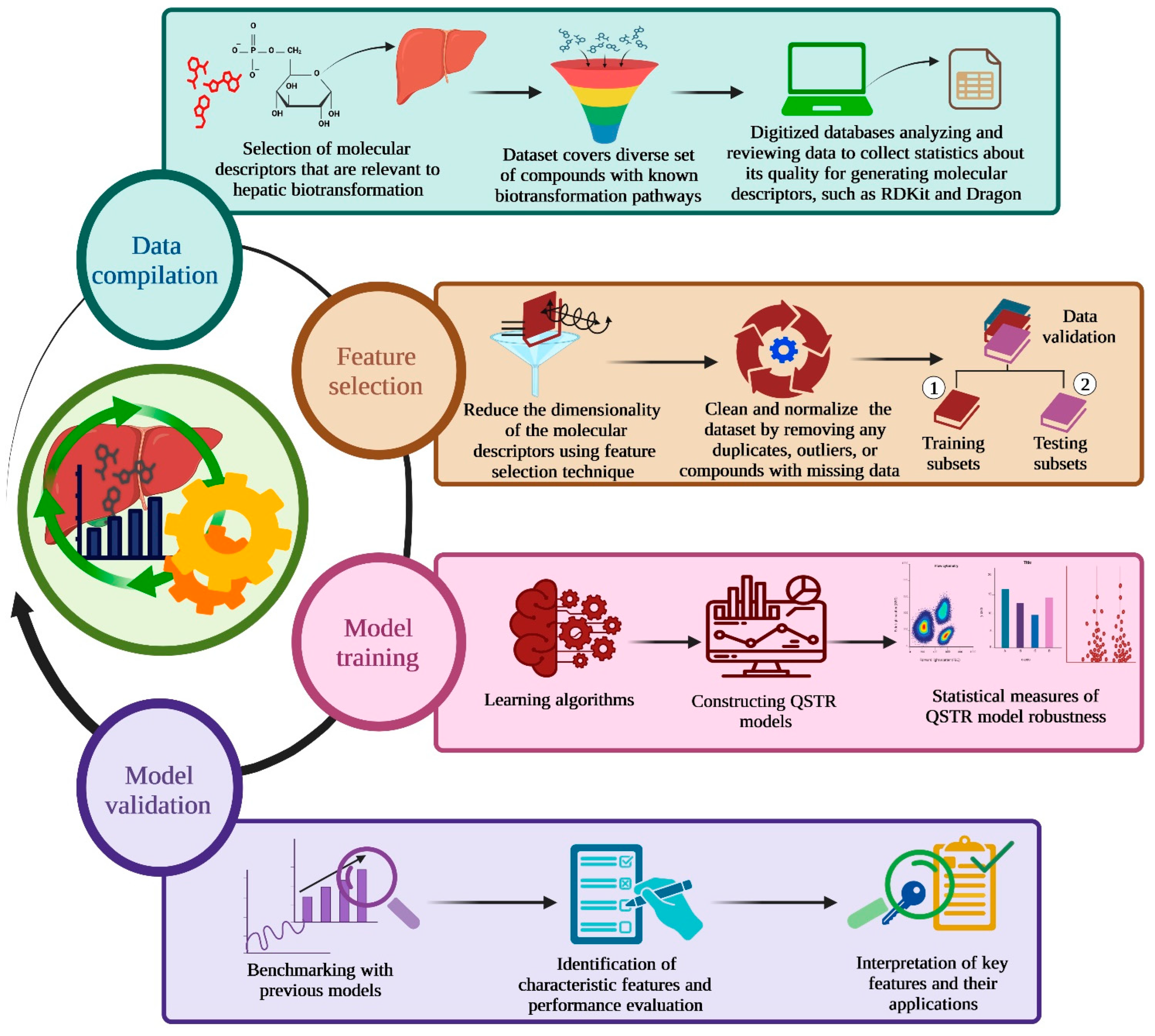 Livers 03 00032 g002