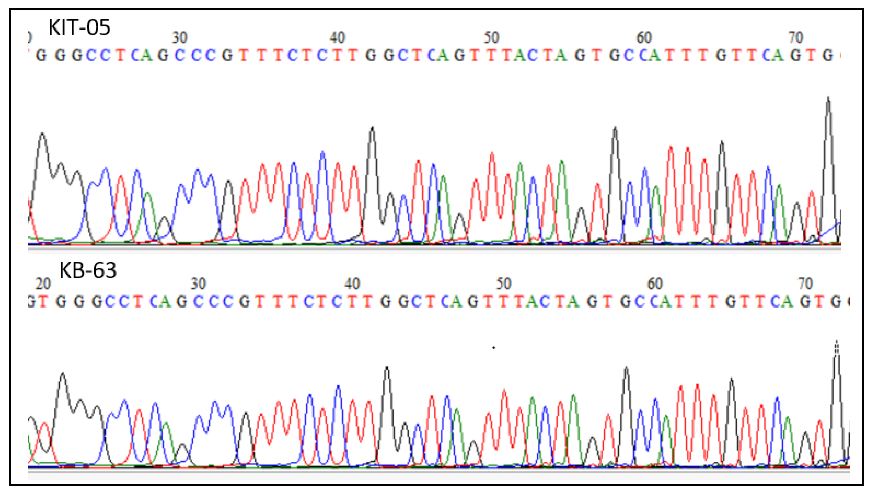 Livers 03 00037 g004 Livers 03 00037 g004