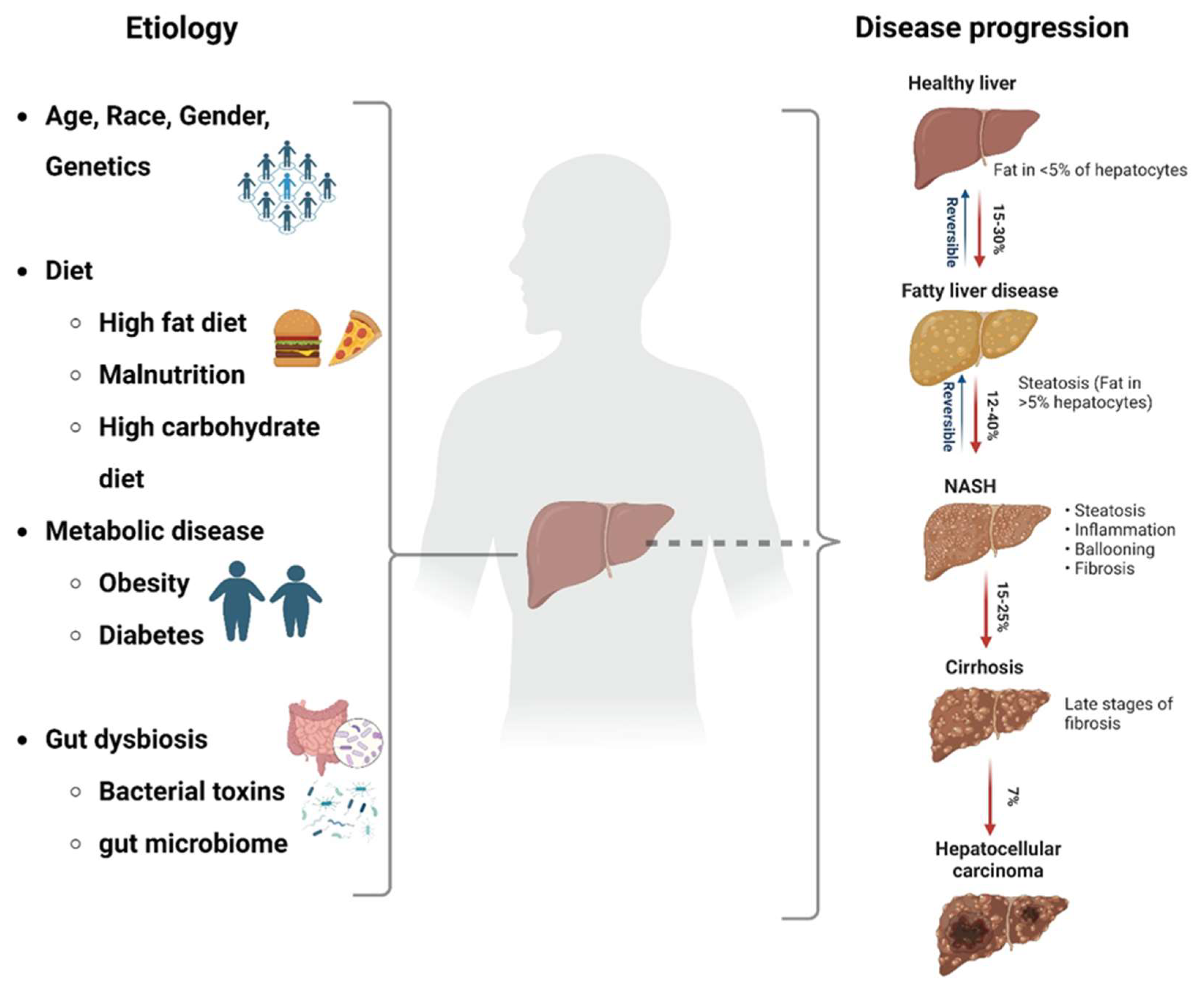 Livers 03 00040 g002