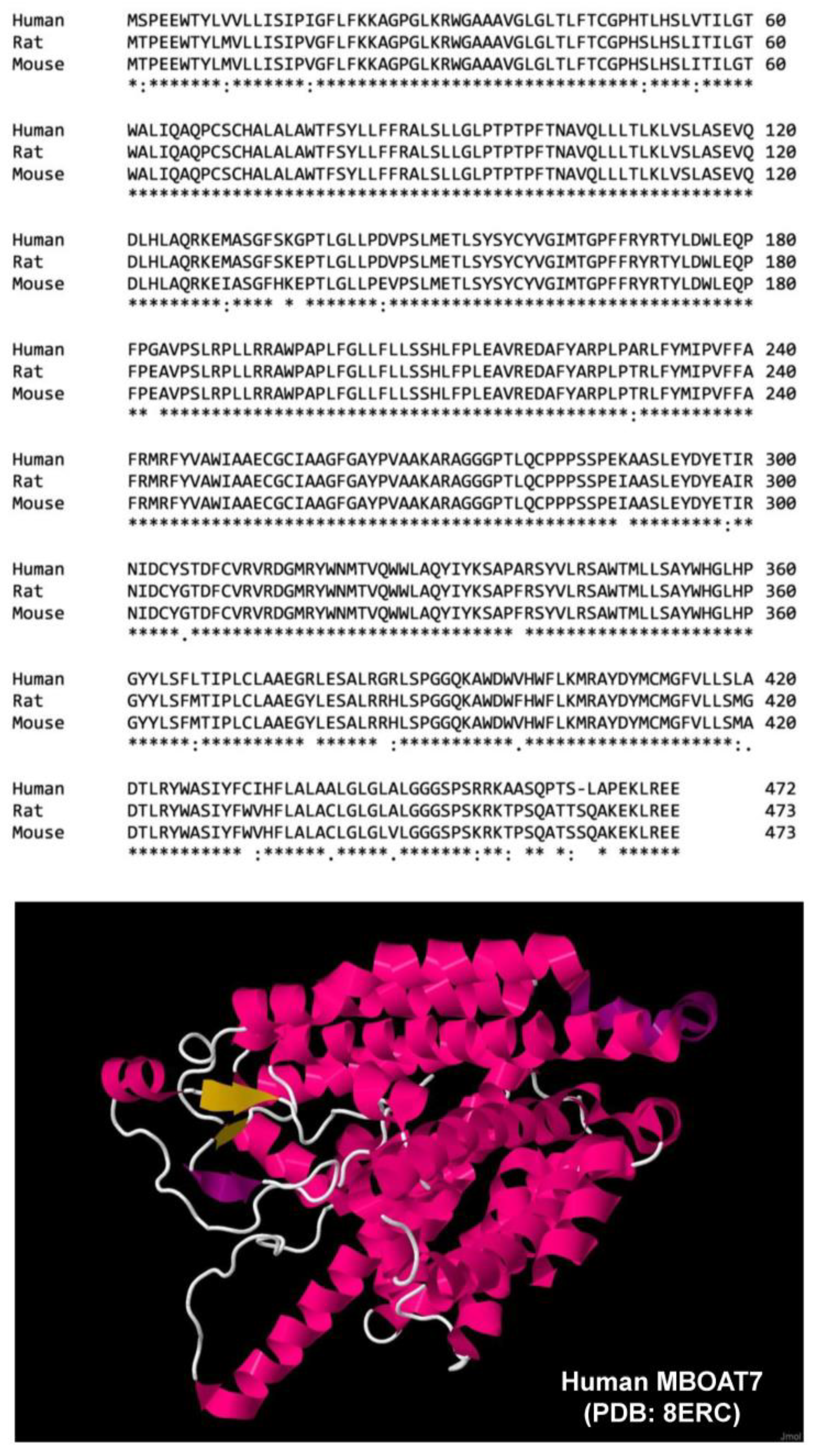 Livers 04 00001 g001