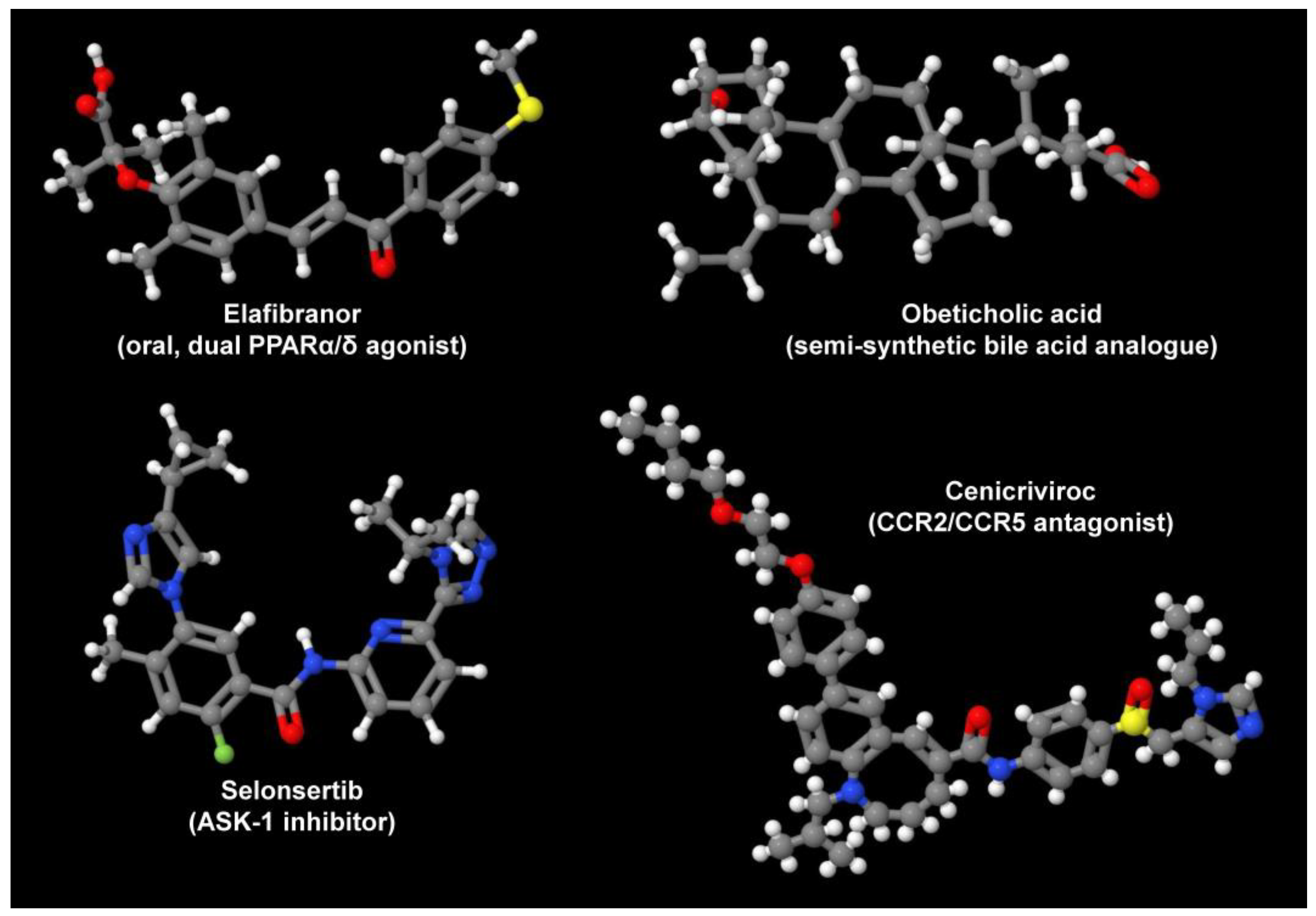 Livers 04 00001 g005