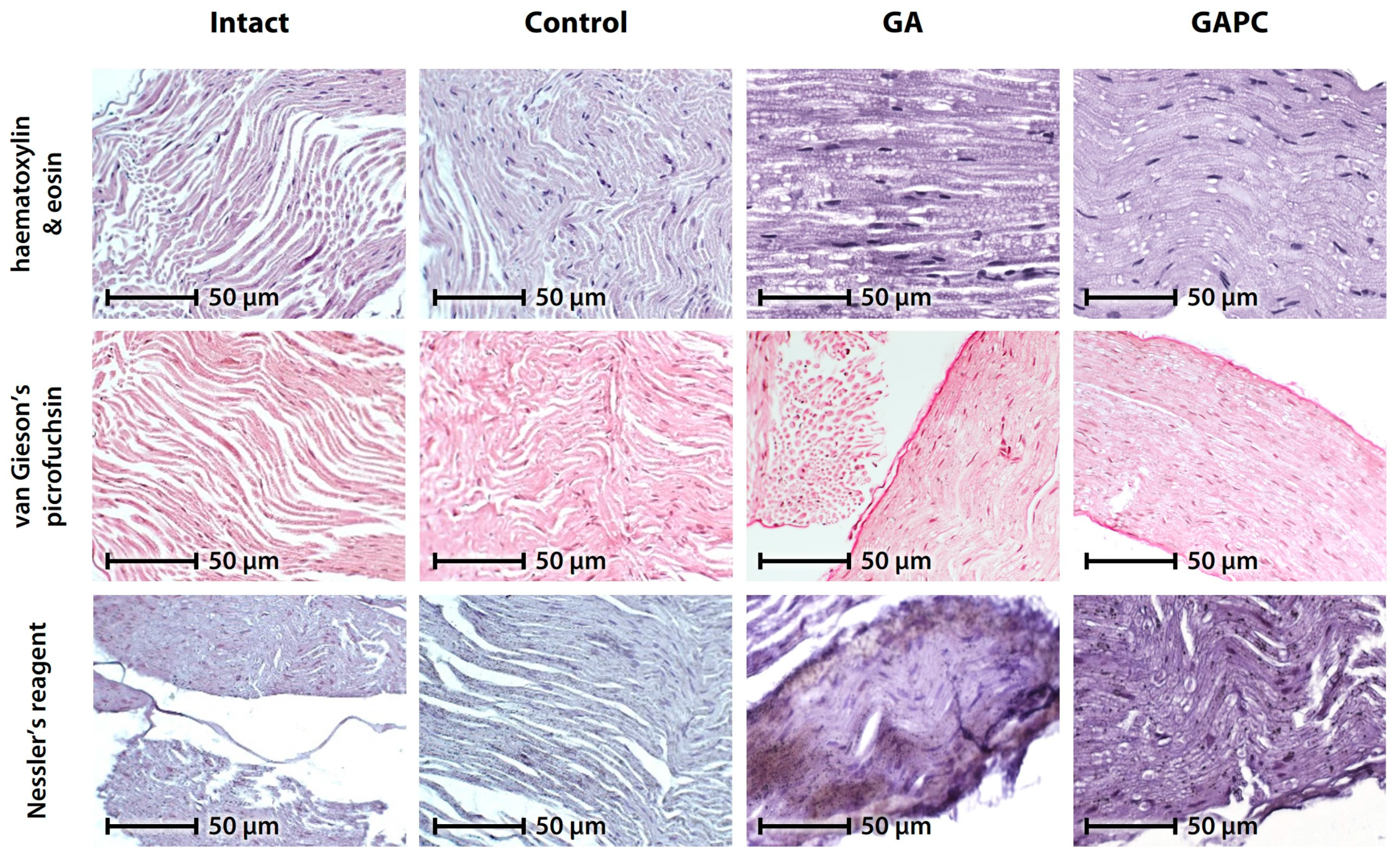 Livers 04 00006 g005