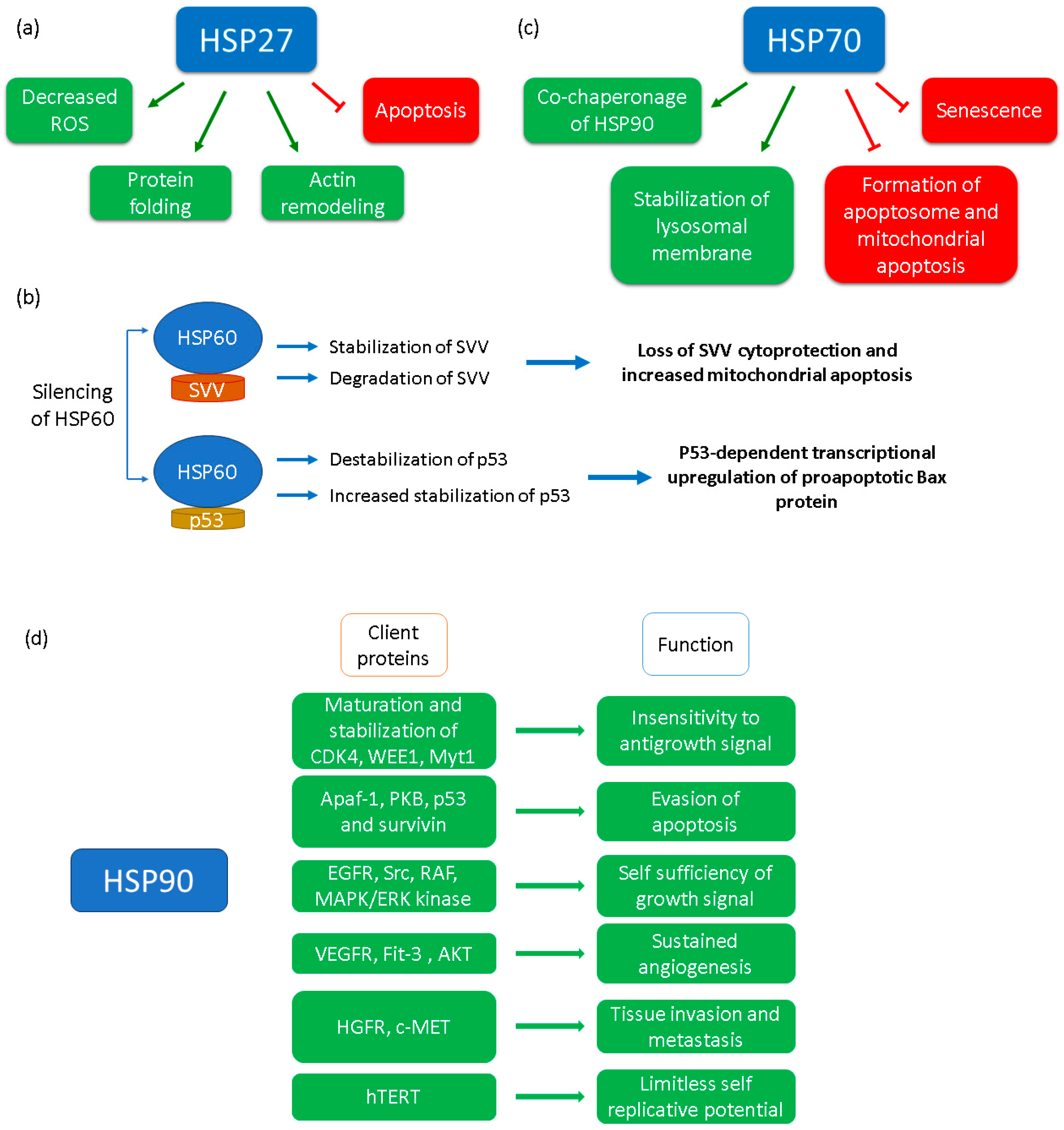 Livers 04 00011 g003 Livers 04 00011 g003
