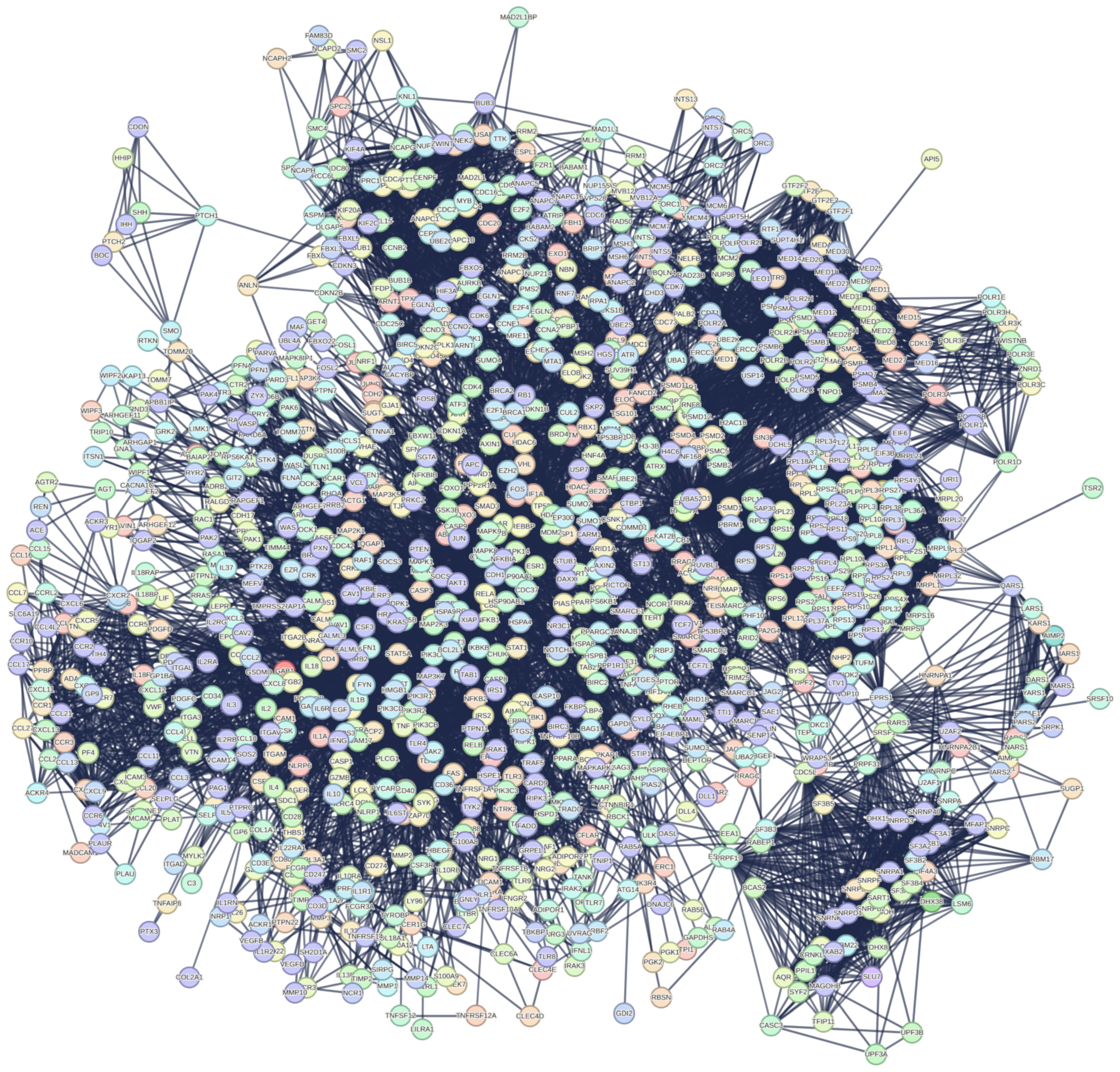 Livers 04 00016 g001